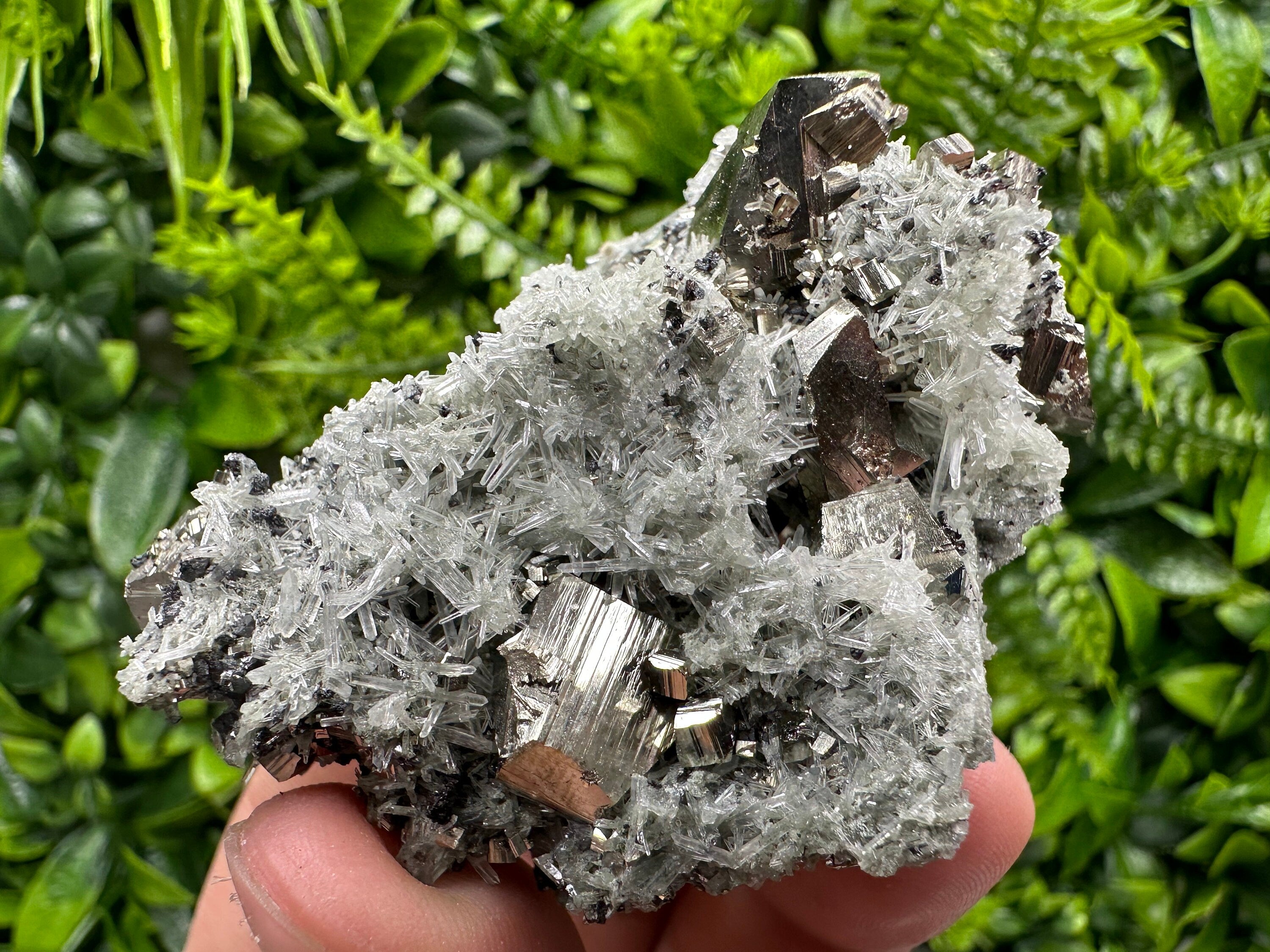 Pyrite on Quartz with Chlorite: Natural Crystal Home Decor from Bulgaria