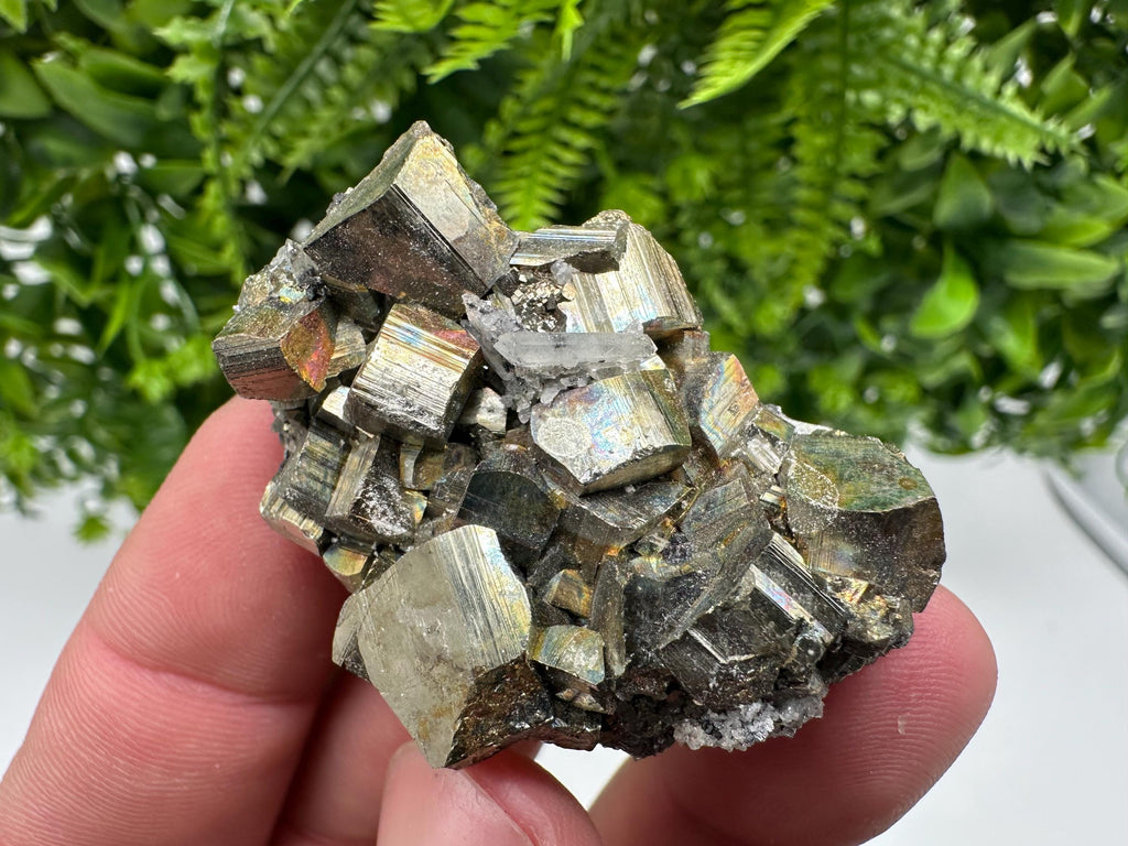 Rare Rainbow Pyrite Cluster: Borieva Mine, Bulgaria