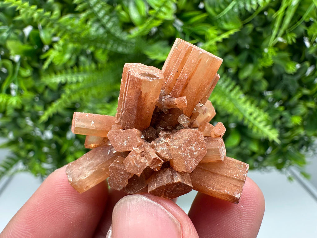 Moroccan Aragonite Sputnik Cluster: Raw Crystal Stone Decor