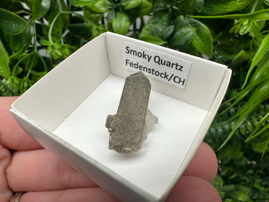 Rare Smoky Quartz Point, Fedenstock Switzerland, Mineral Specimen (30 MM)