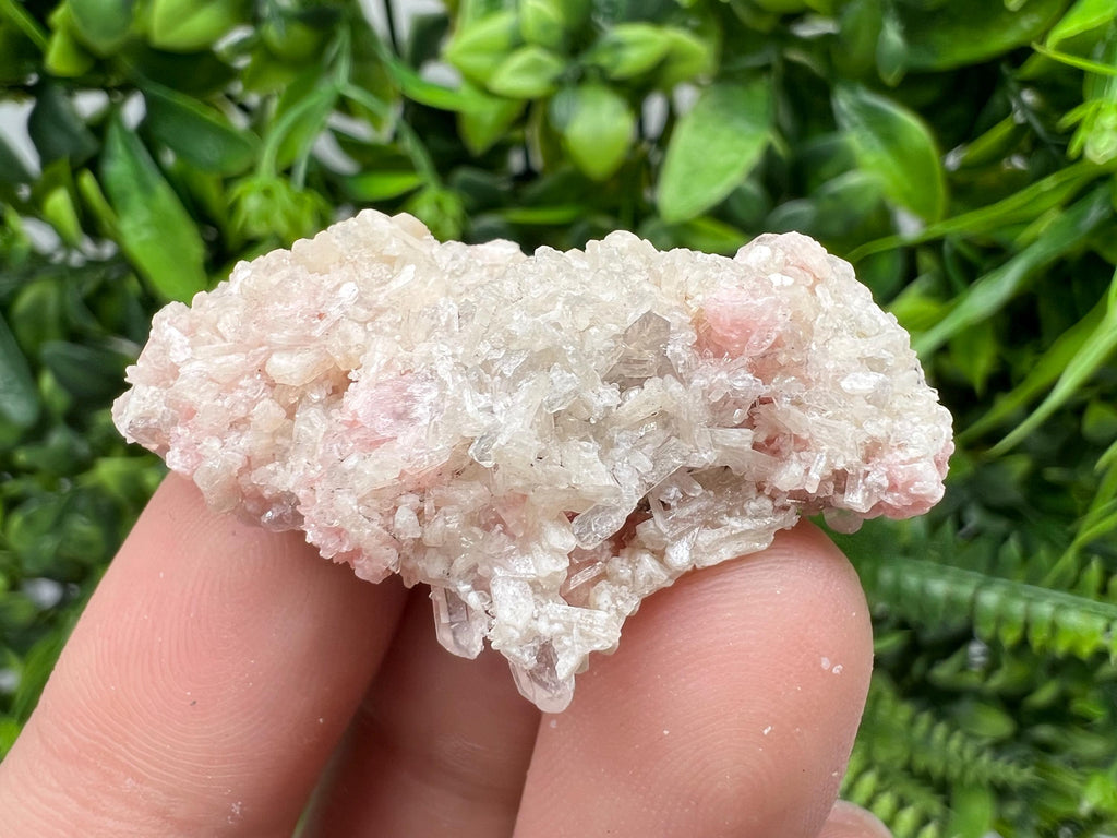 Pink Rhodochrosite Crystal Cluster, Starnica Mine, Bulgaria