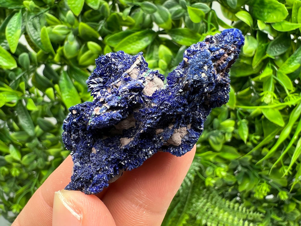 Crystallized Azurite-Kerrouchen,Morocco-Blue Azurite Specimen-High Quality Blue Azurite-Azurite Mineral Specimen, gemmy,lustrous of Azurite
