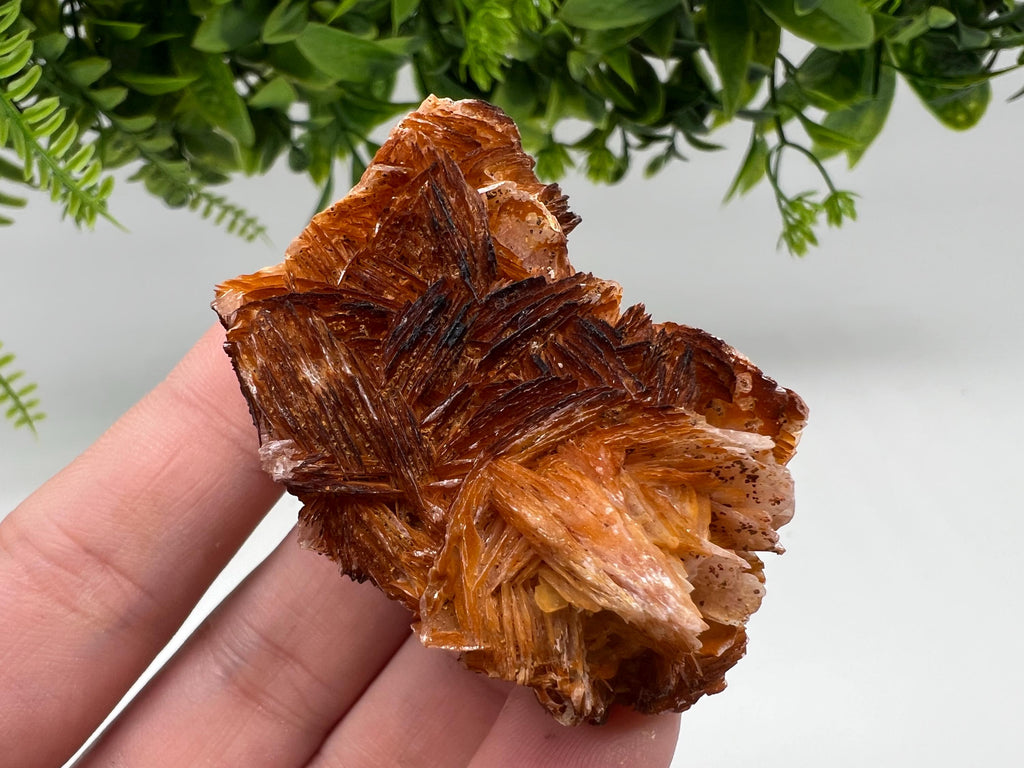Wonderful Baryte with Cerussite on Galena from Morocco,Crystal, Mineral,Specimen,Cluster,Crystals,Barite Crystal,Cerussite Crystal,Specimen
