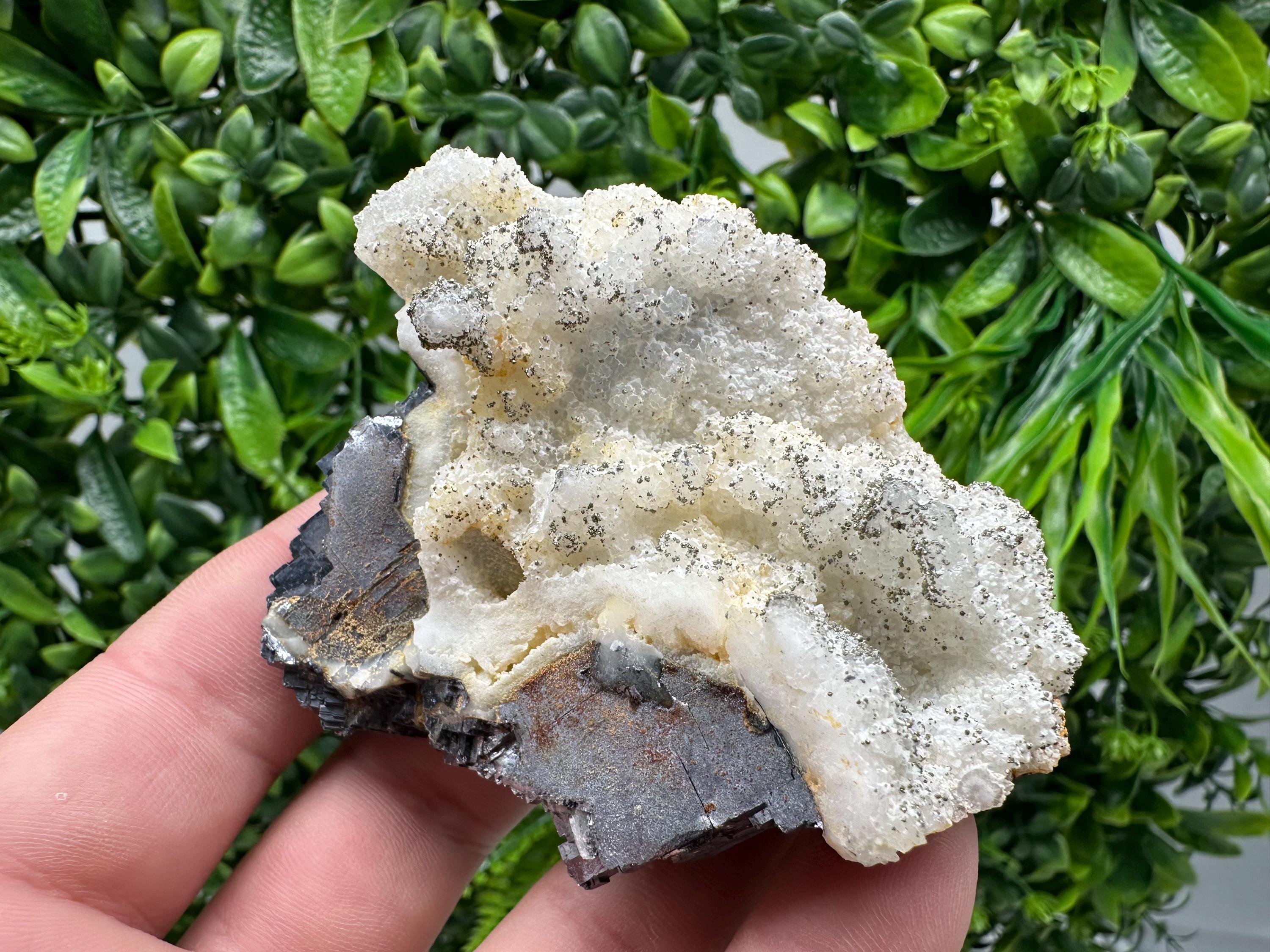 Galena Marcasite on Chalcedony: Androvo Mine Bulgaria Crystal