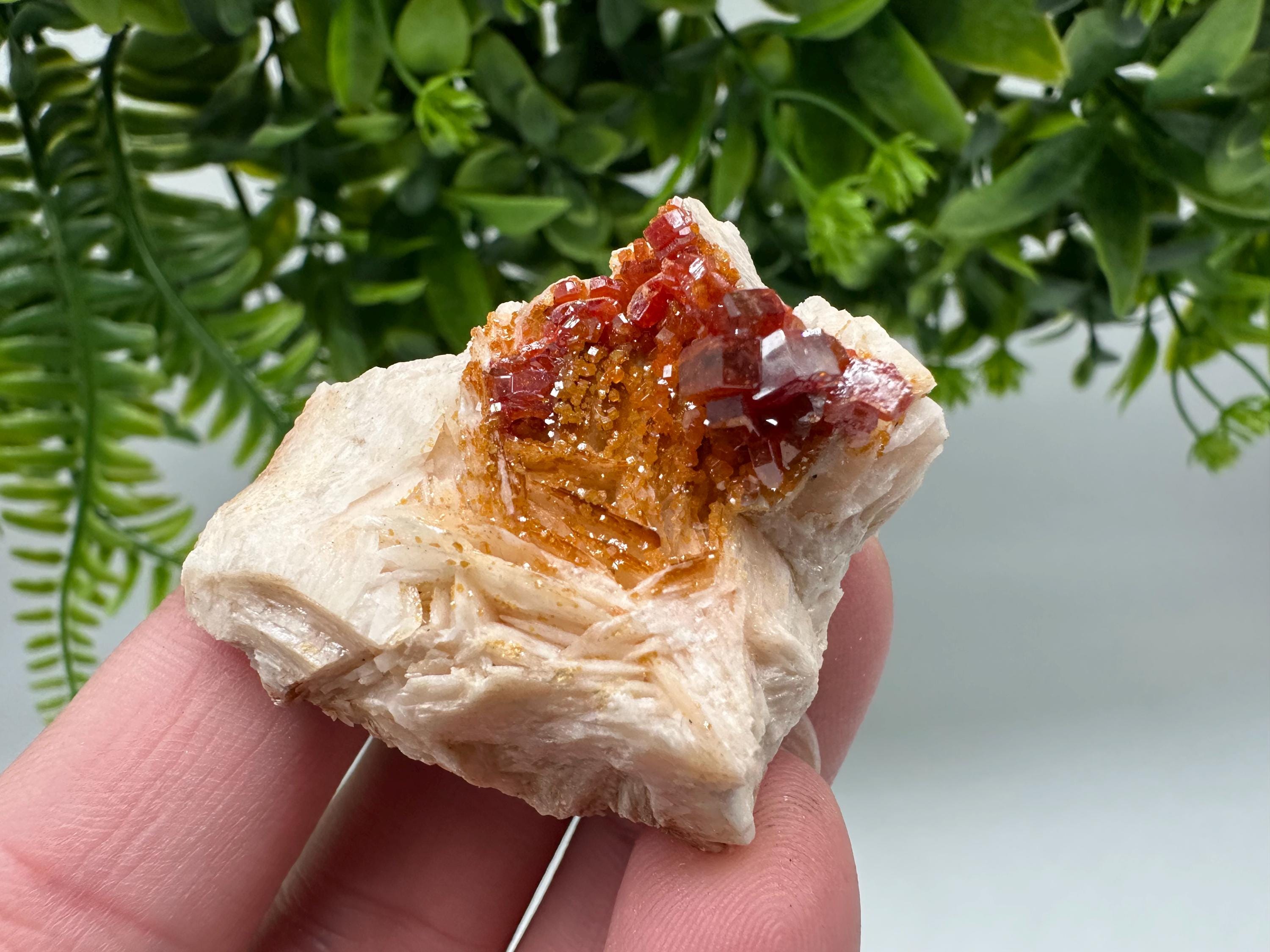 Red Vanadinite on Barite from Marocco,crystal minerals Speciment cluster Vanadinite crystal Vanadinite Geology Vanadinite cluster minerals