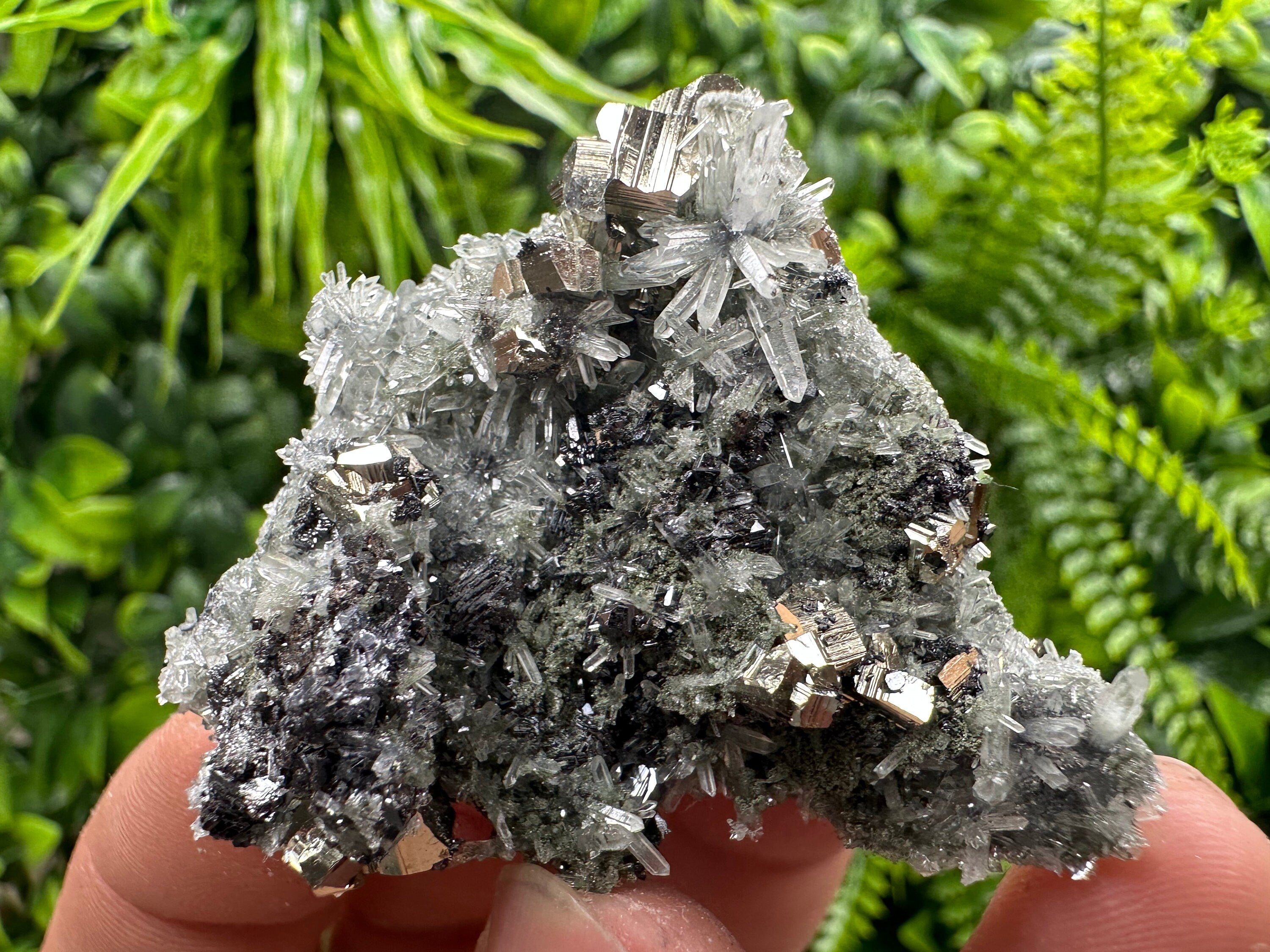 Pyrite Sphalerite Galena on Quartz: Bulgaria Borieva Mine Crystal Cluster