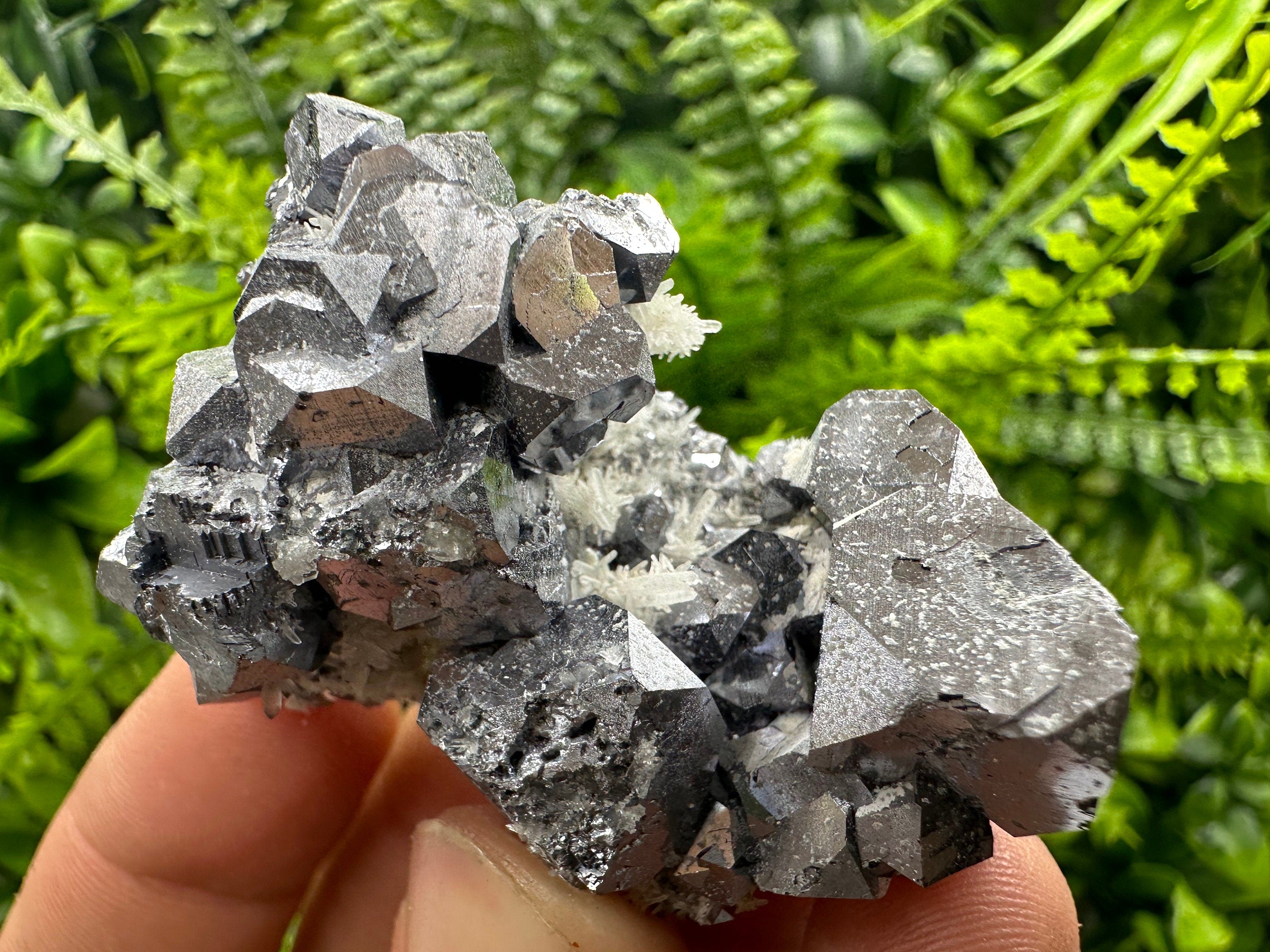 Shiny Galena on Quartz, Borieva Mine, Bulgaria