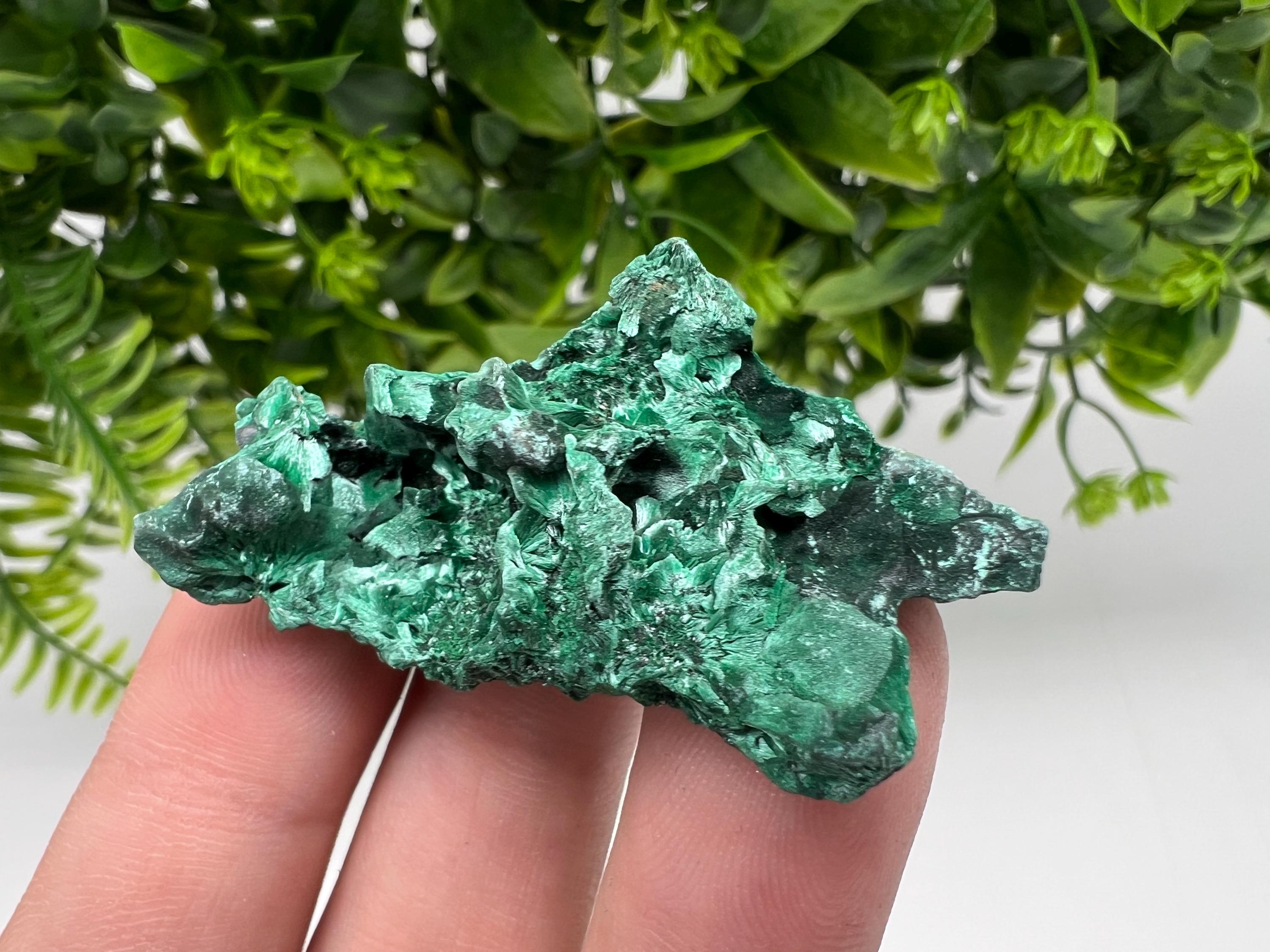 Malachite Crystal from Congo,Minerals,Crystals from Congo,Green Malachite, Malachite,Natural Malachite,Malachite Stone,Chakra, Specimens
