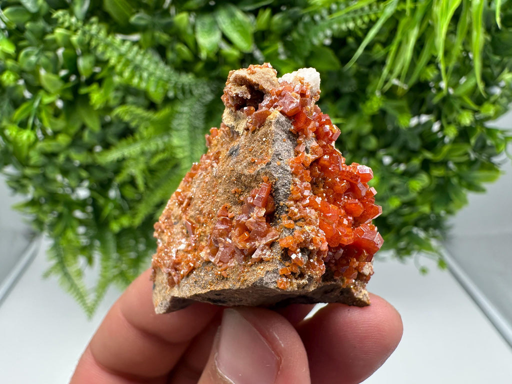 Red Vanadinite on Barite from Marocco,crystal minerals Speciment cluster Vanadinite crystal Vanadinite Geology Vanadinite cluster minerals