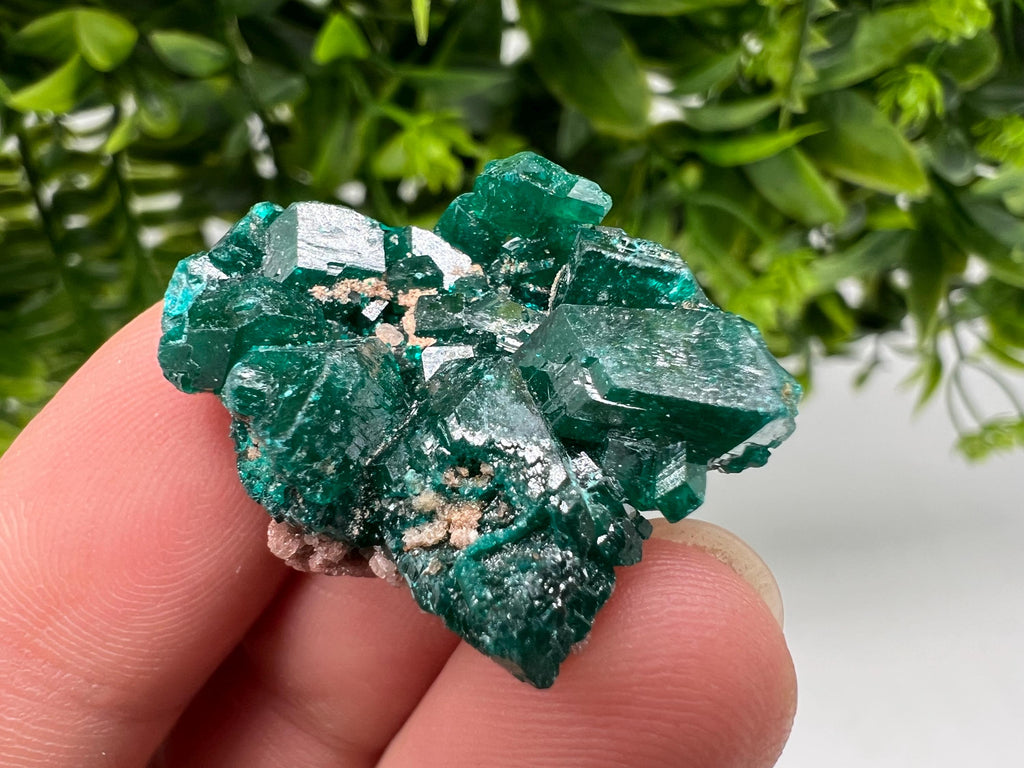Stunning Green Dioptase from Sanda Hills,Mindouli,Pool Department,Mindouli District,Congo,green Dioptase,Dioptas Crystal,Dioptase collecting
