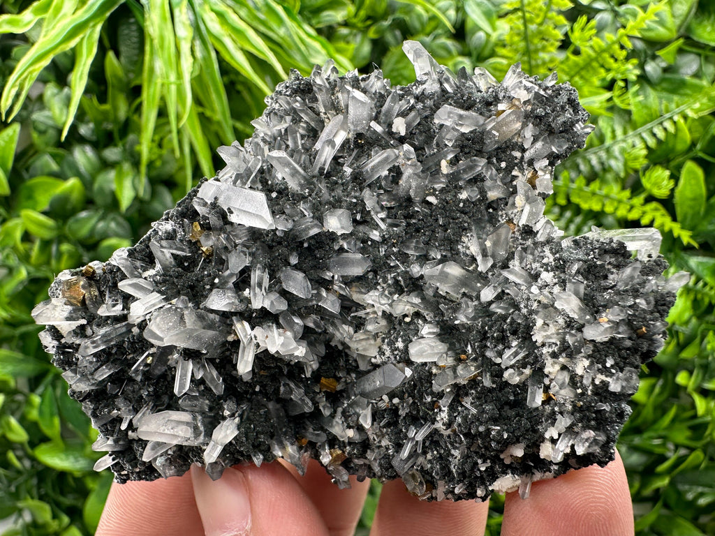 Pyrite on Quartz with Chlorite: Borieva Mine Crystal Decor