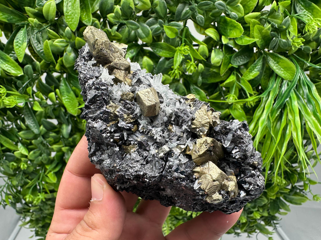 Chalcopyrite with Sphalerite on Quartz, Borieva Bulgaria