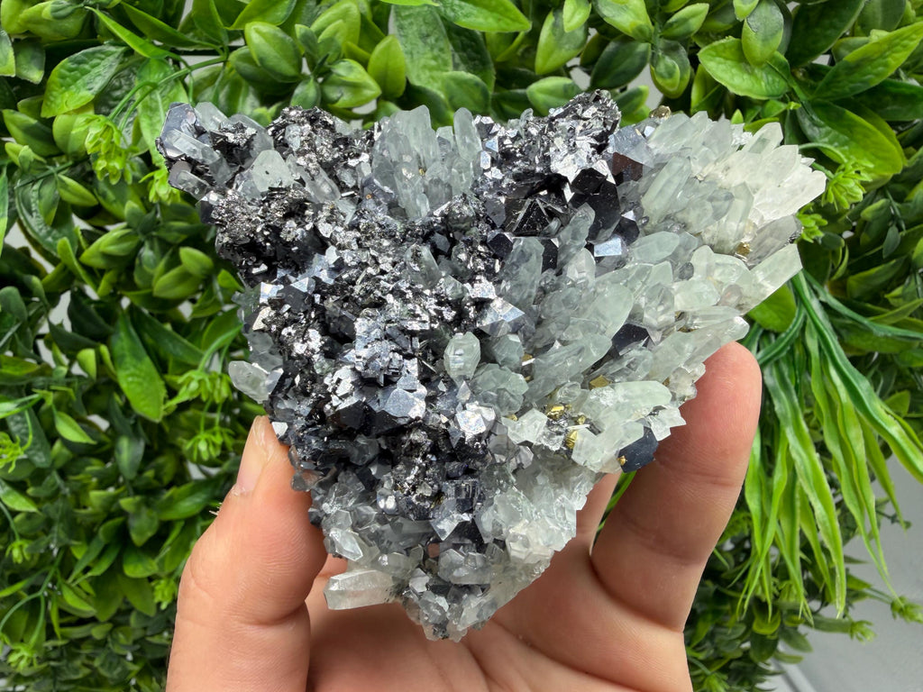 Galena Sphalerite Pyrite on Quartz, Borieva Mine, Bulgaria