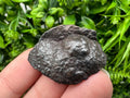 Botryoidal Black Hematite Specimen: Moroccan Crystal, Chakra Reiki