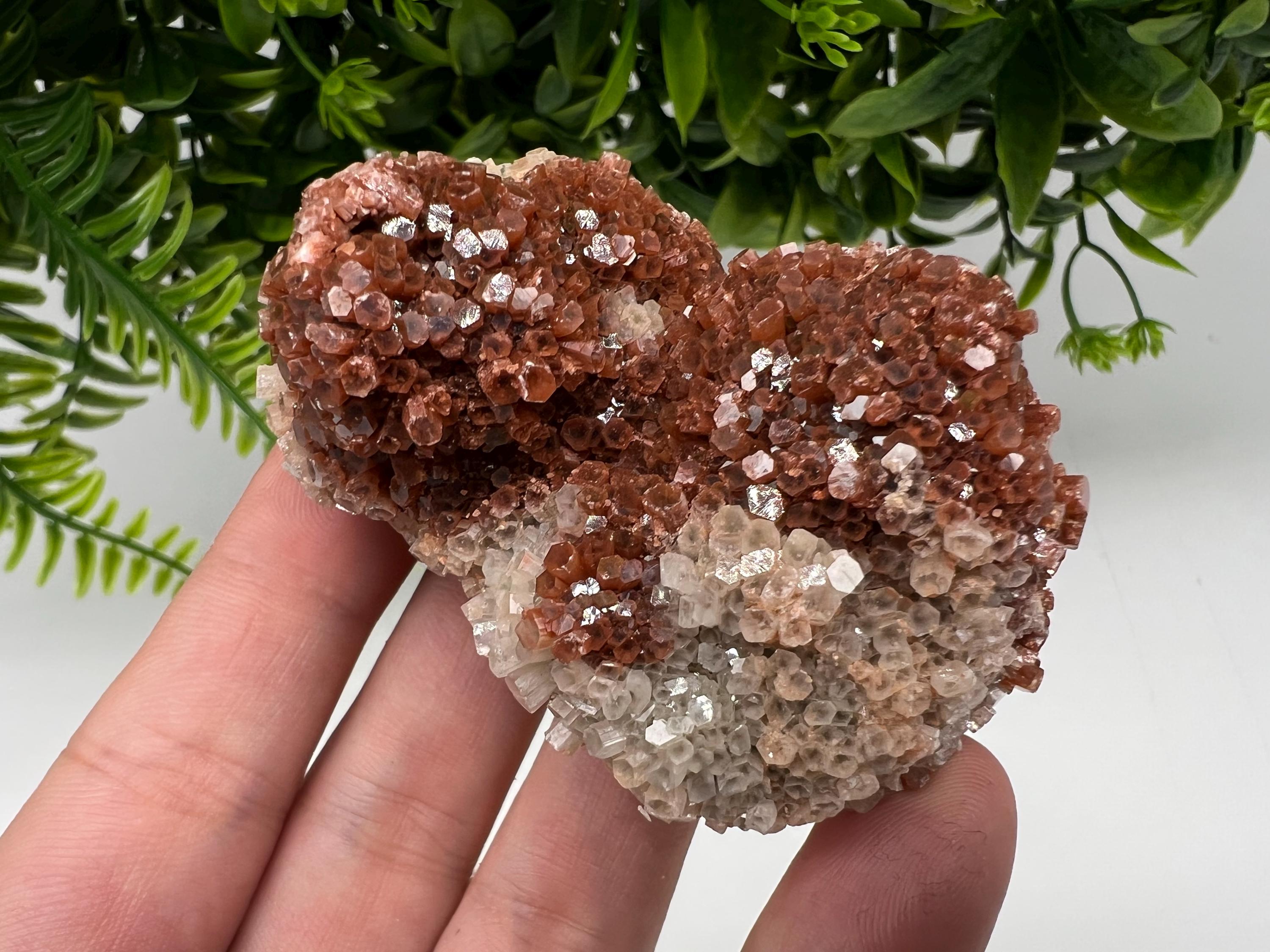 Large Aragonite Sputnik Cluster: Raw Moroccan Crystal Stone