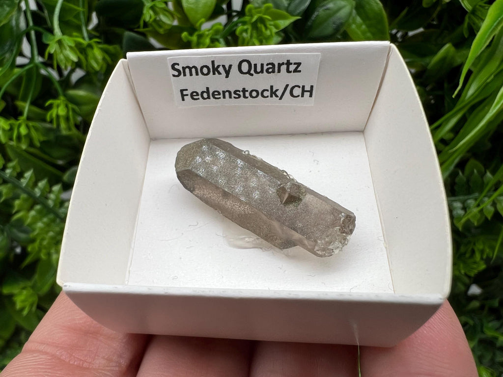 Rare Fedenstock Smoky Quartz Point, Switzerland Mineral Specimen (35MM)