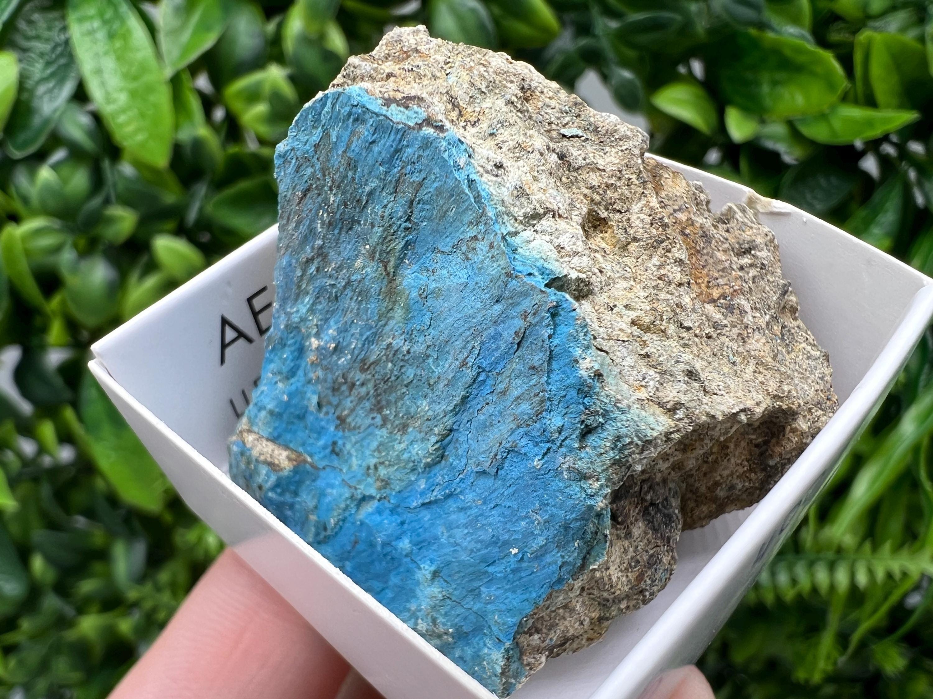 Rare Raw Aerinite Mineral Specimen: Lleida Spain Collection Crystal