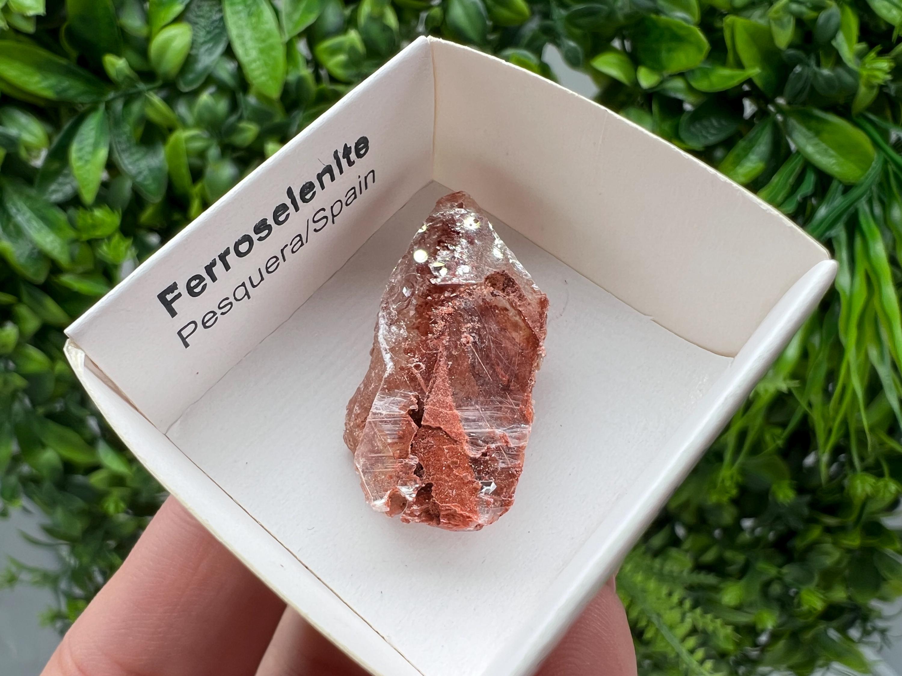 Rare Ferroselenite Crystal Mineral Specimen, Spain (3.4/1.8 cm)