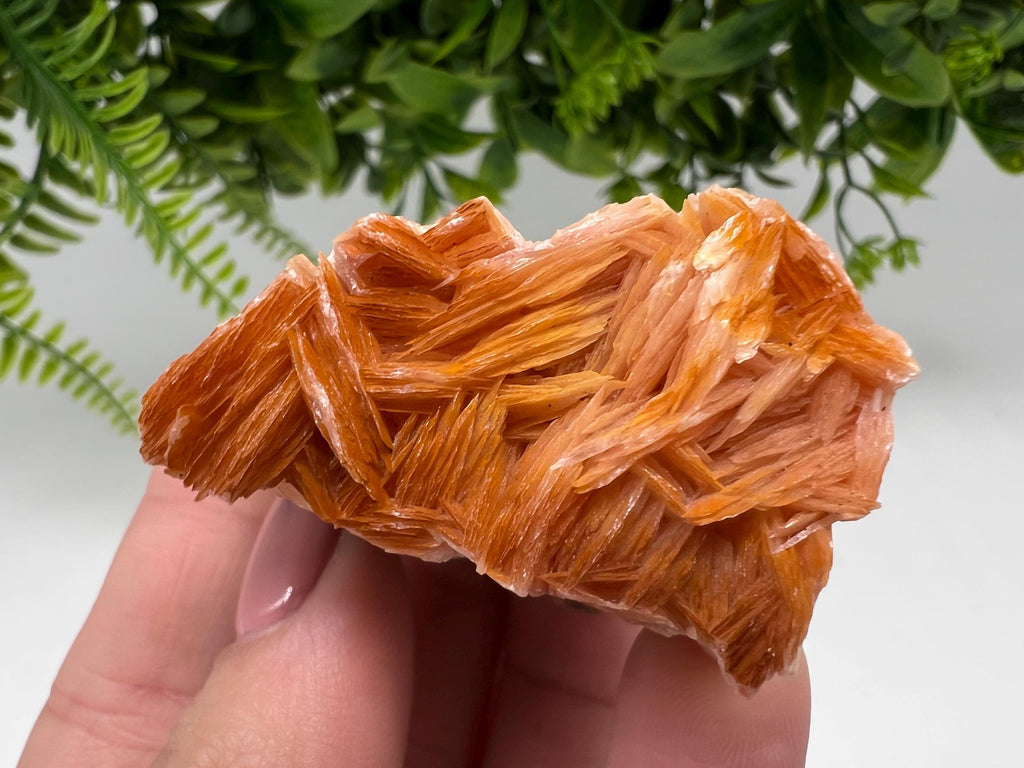 Wonderful Baryte with Cerussite on Galena from Morocco,Crystal, Mineral,Specimen,Cluster,Crystals,Barite Crystal,Cerussite Crystal,Specimen