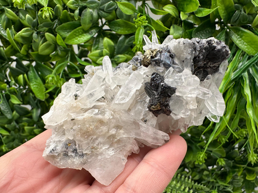 Wonderful Sphalerite Chalcopyrite on  Quartz whit Galena feom 9 th September mine,Bulgaria,natural,collection mineral specimen,gift