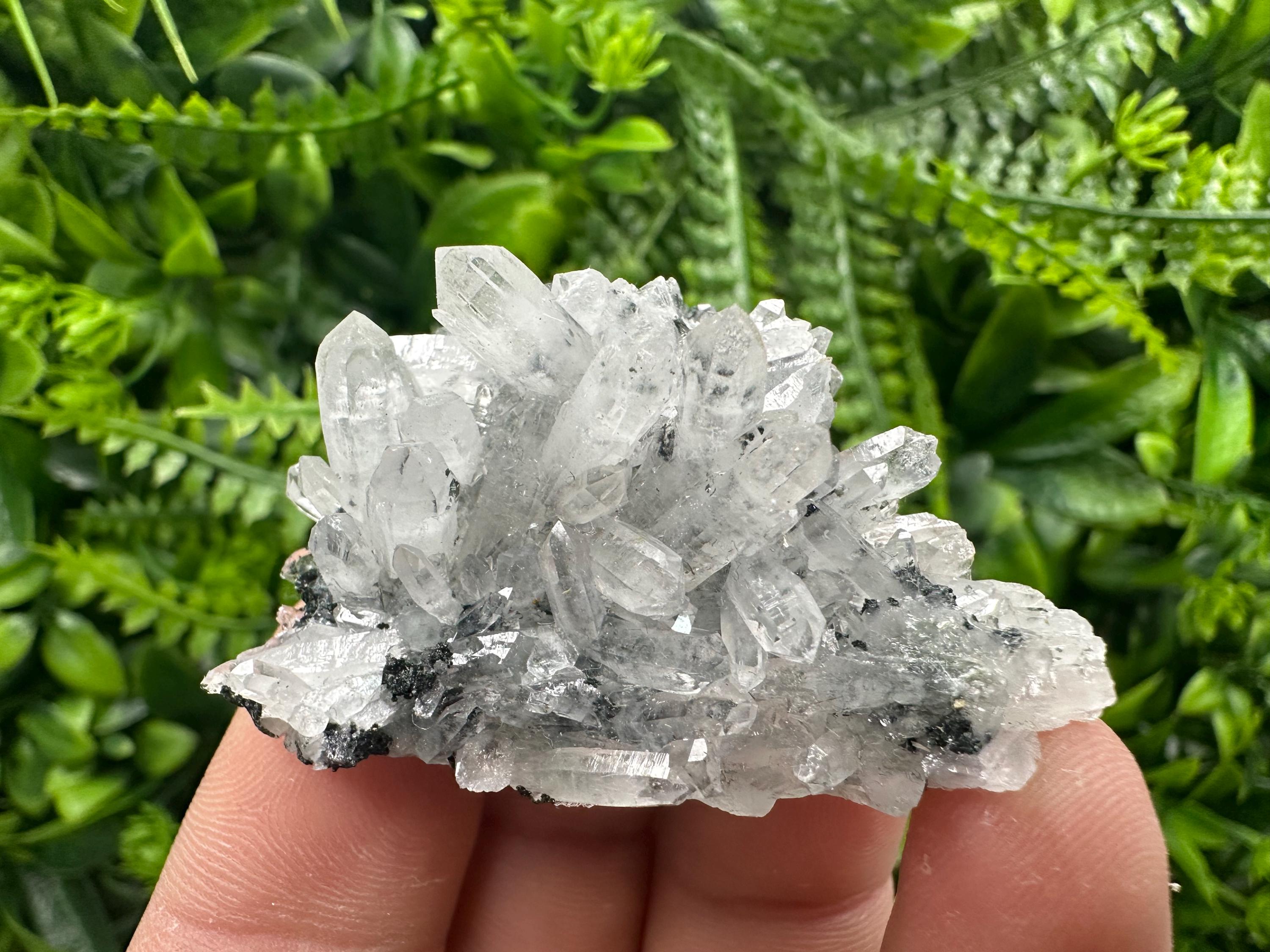 Transparent Quartz Cluster, Borieva Mine, Rare Crystal Specimen