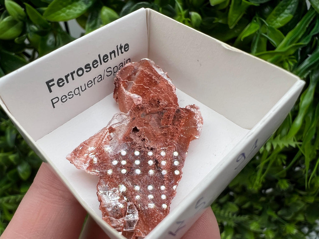 Rare Ferroselenite Mineral Specimen, La Pesquera Spain