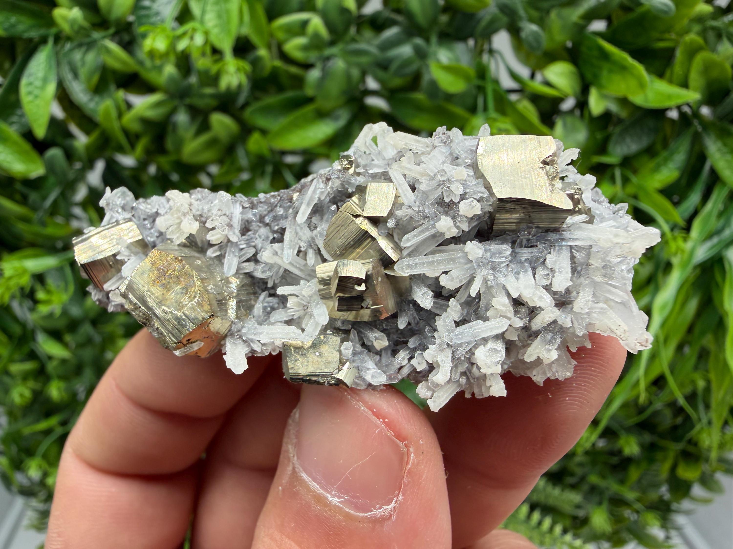 Pyrite Sphalerite Quartz  Mineral Specimen, Krushev dol Mine