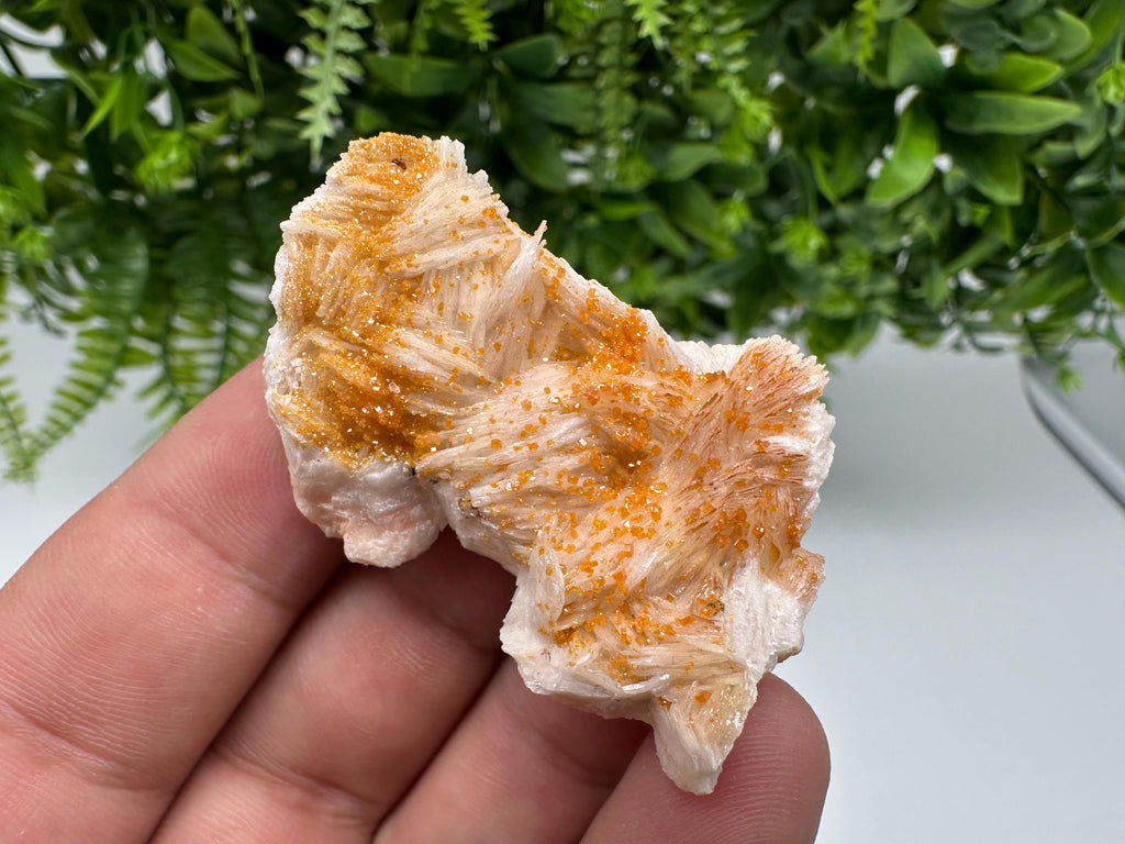 Red Vanadinite on Barite from Marocco,crystal minerals Speciment cluster Vanadinite crystal Vanadinite Geology Vanadinite cluster minerals