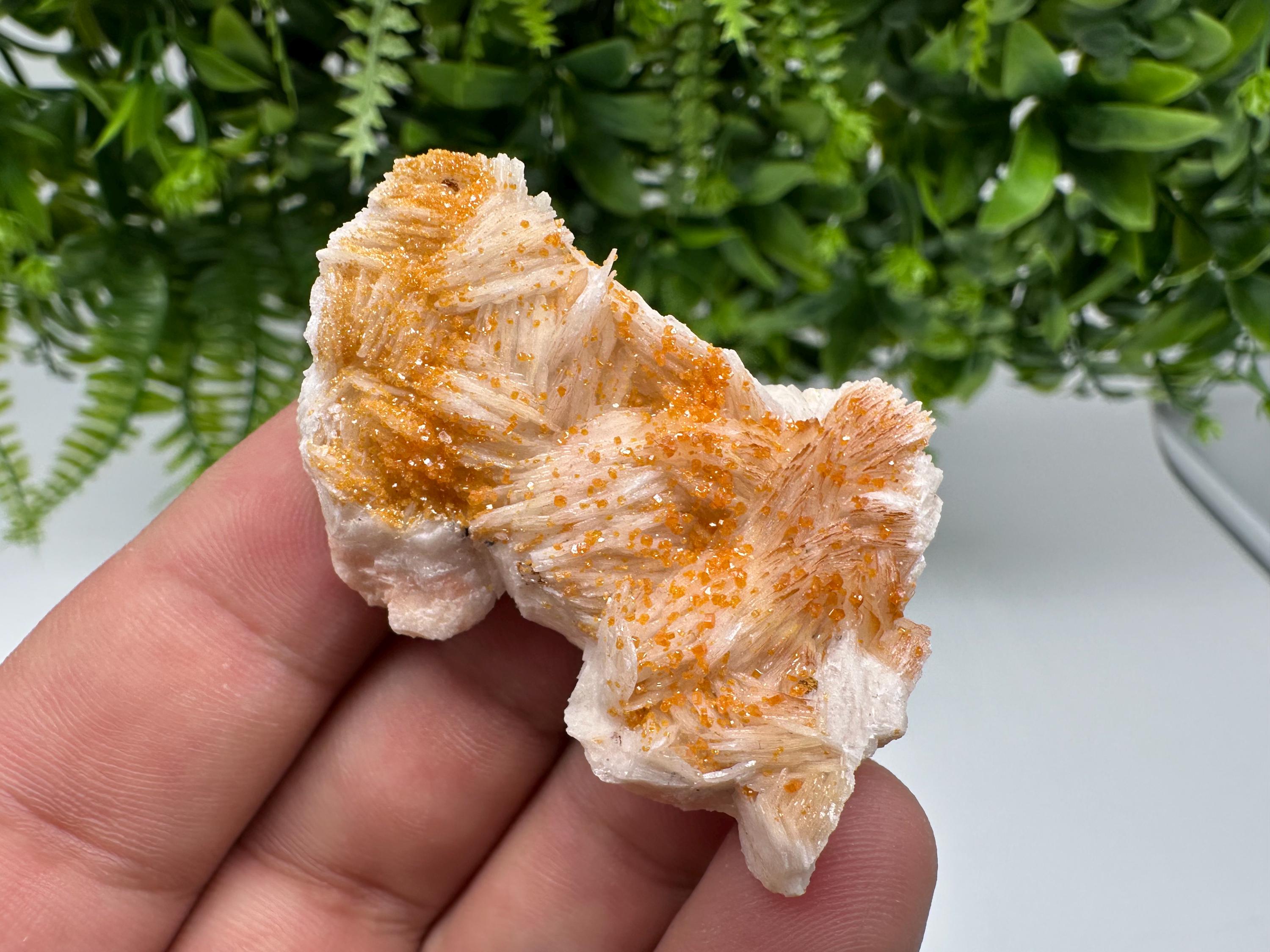 Red Vanadinite on Barite from Marocco,crystal minerals Speciment cluster Vanadinite crystal Vanadinite Geology Vanadinite cluster minerals