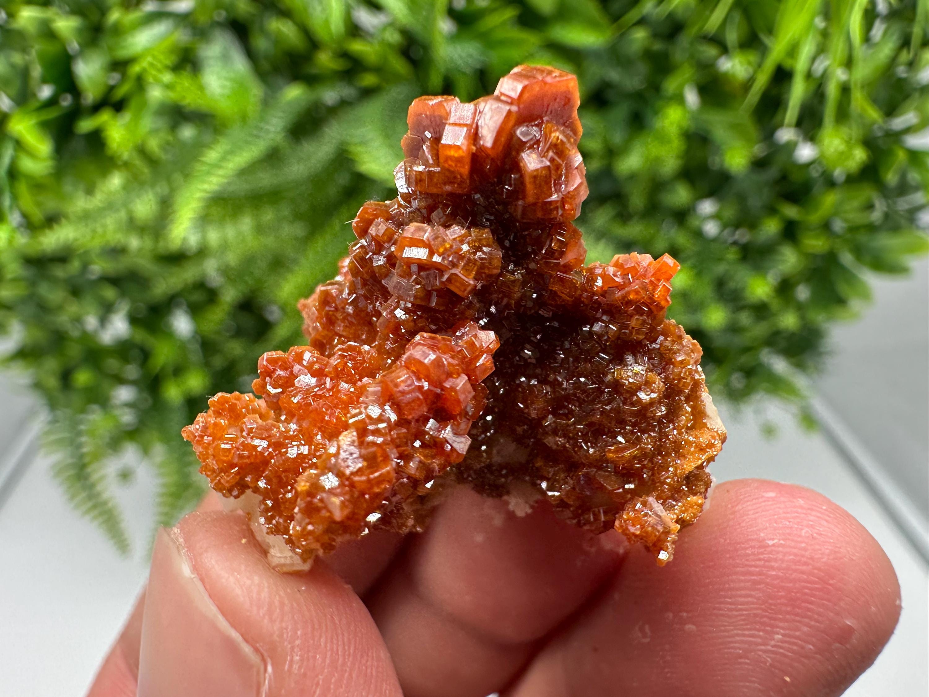 Red Vanadinite on Barite from Marocco,crystal minerals Speciment cluster Vanadinite crystal Vanadinite Geology Vanadinite cluster minerals