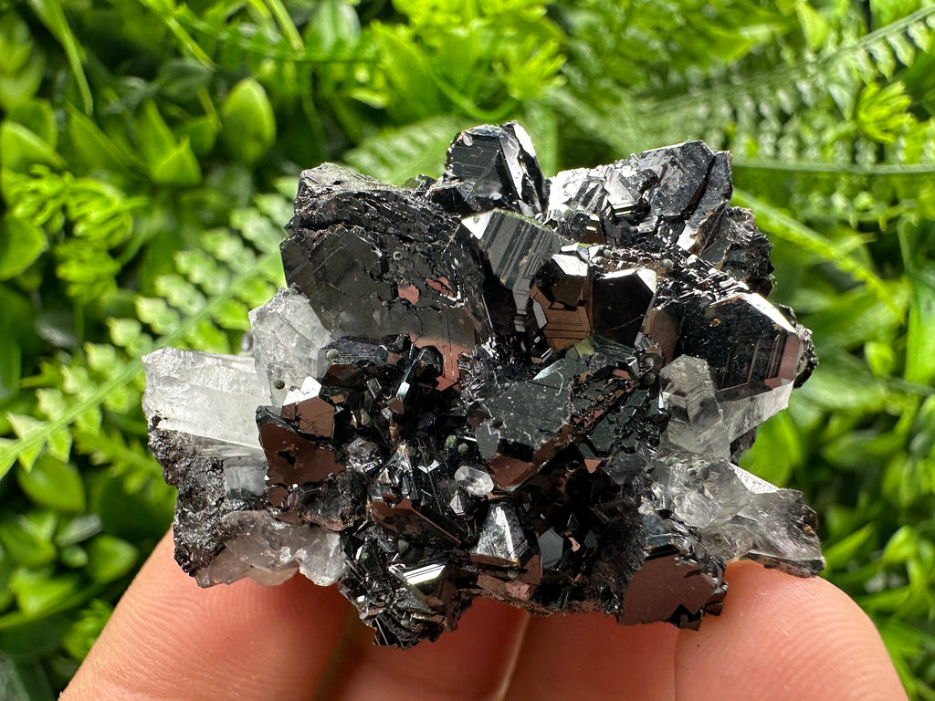 Borieva Sphalerite on Quartz: Rare Mineral Cluster
