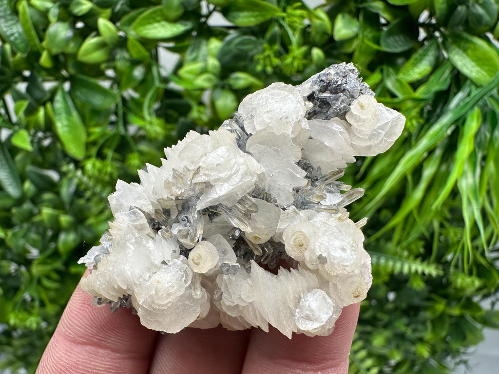 Quartz with Calcite and Chlorite: Borieva Mine Crystal Souvenir