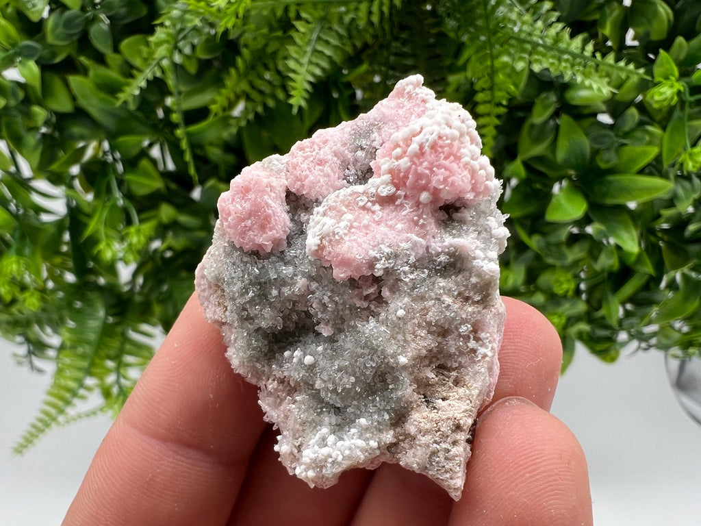 RARE Rhodochrosite with Calcite: Starnica Mine, Bulgaria