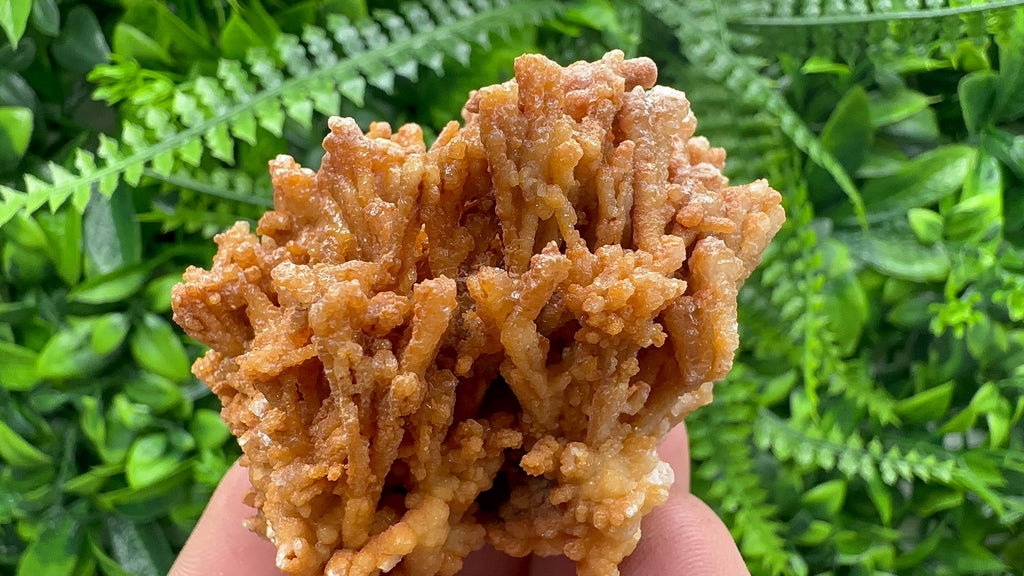 Dimitrovgrad Aragonite Cluster, Bulgaria Mineral Specimen