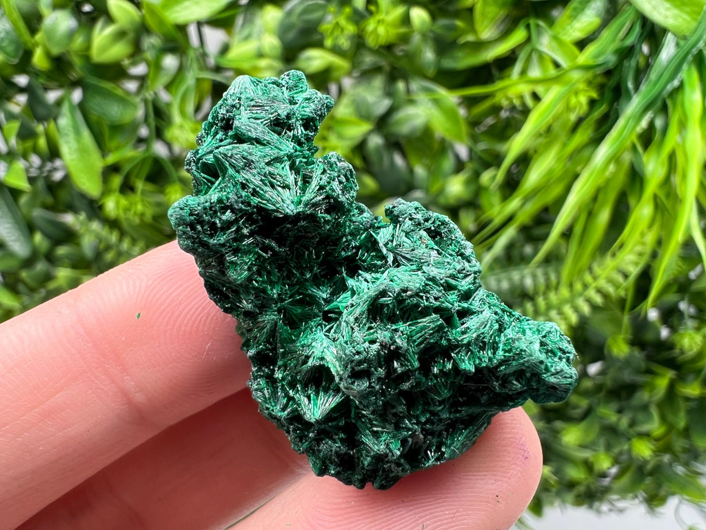 Malachite Crystal from Congo,Minerals,Crystals from Congo,Green Malachite, Malachite,Natural Malachite,Malachite Stone,Chakra, Specimens