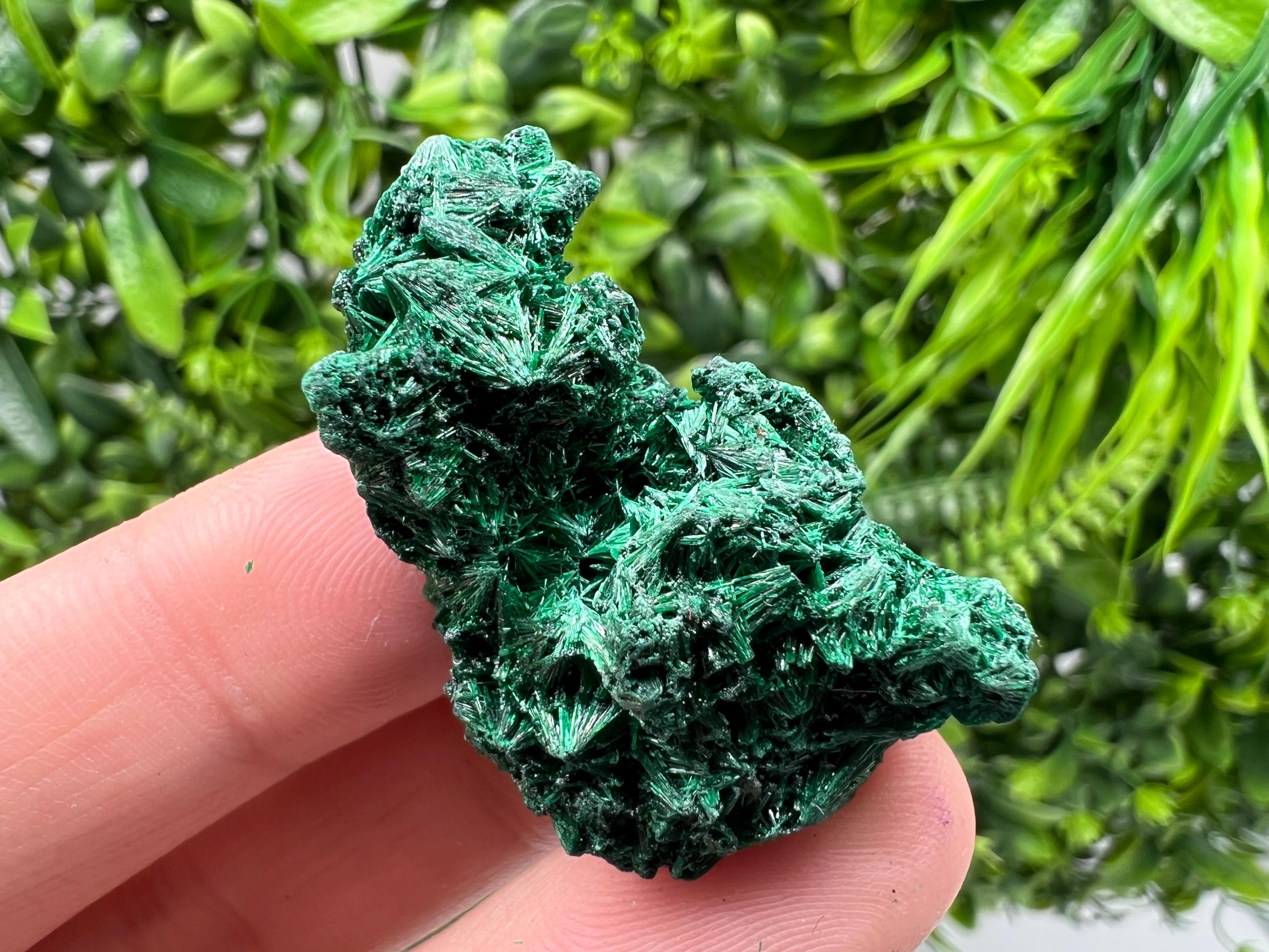 Malachite Crystal from Congo,Minerals,Crystals from Congo,Green Malachite, Malachite,Natural Malachite,Malachite Stone,Chakra, Specimens