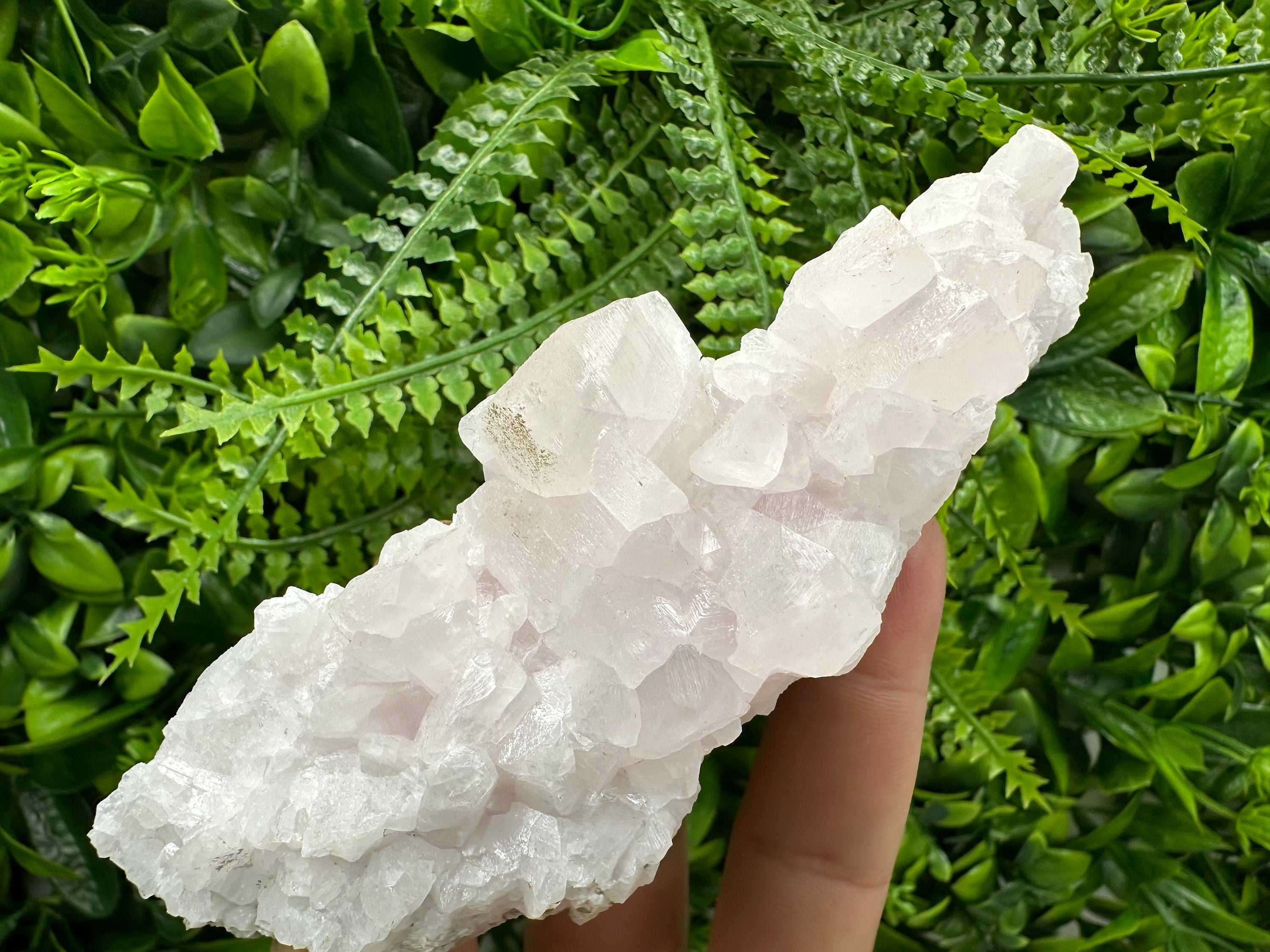 Bulgarian Calcite Specimen: Djurcovo Mine Mineral Cluster