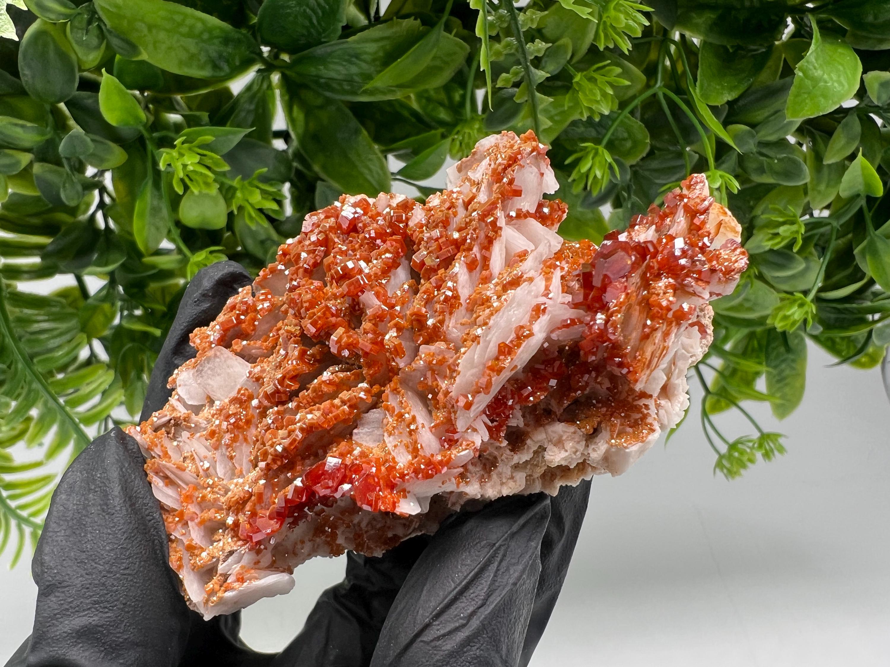Red Vanadinite on Barite from Marocco,crystal minerals Speciment cluster Vanadinite crystal Vanadinite Geology Vanadinite cluster minerals