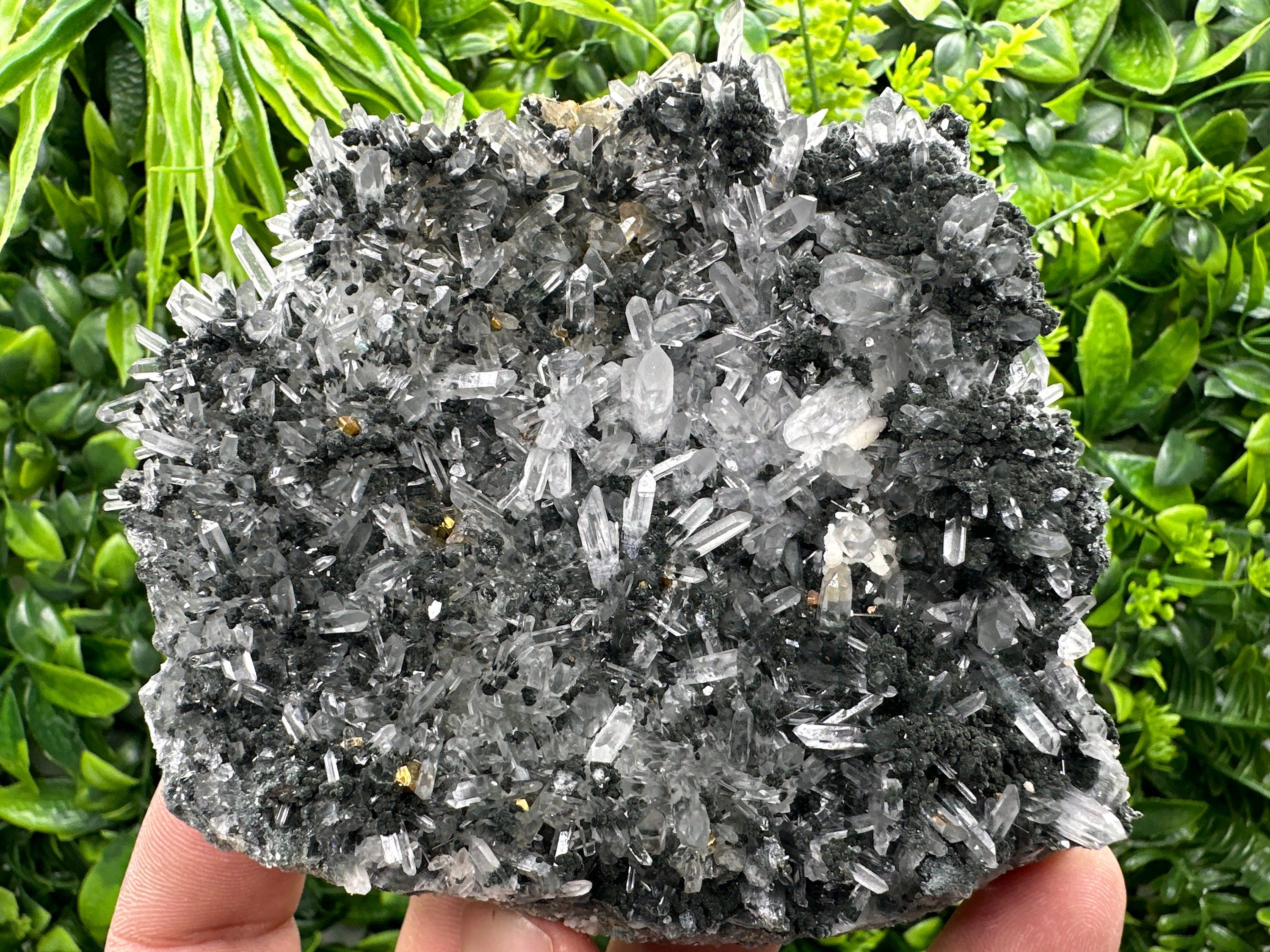 Pyrite on Quartz with Chlorite: Borieva Mine Crystal Decor