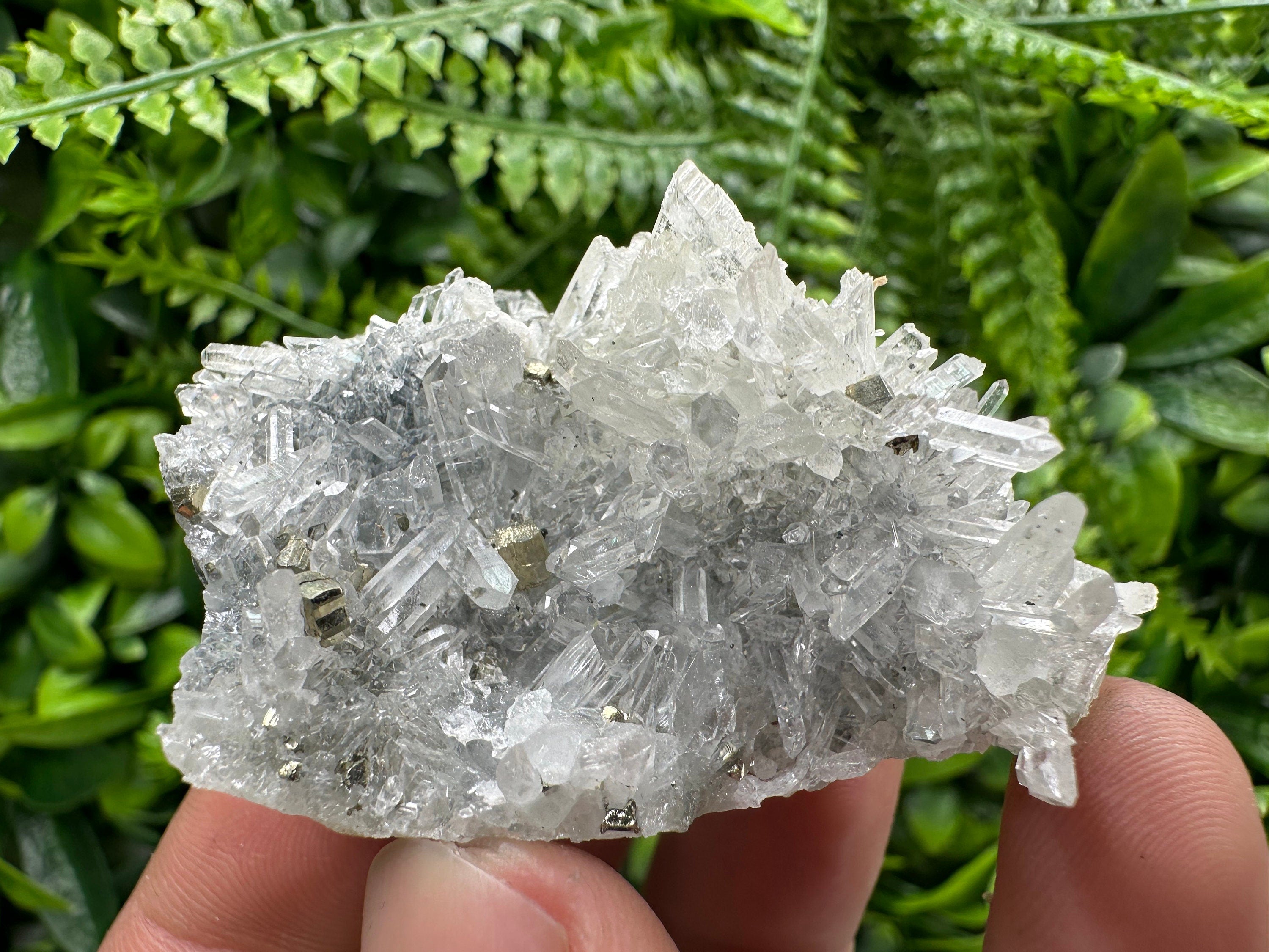 Pyrite on Needle Quartz: Borieva Mine Crystal Decor (6/4/3 cm)