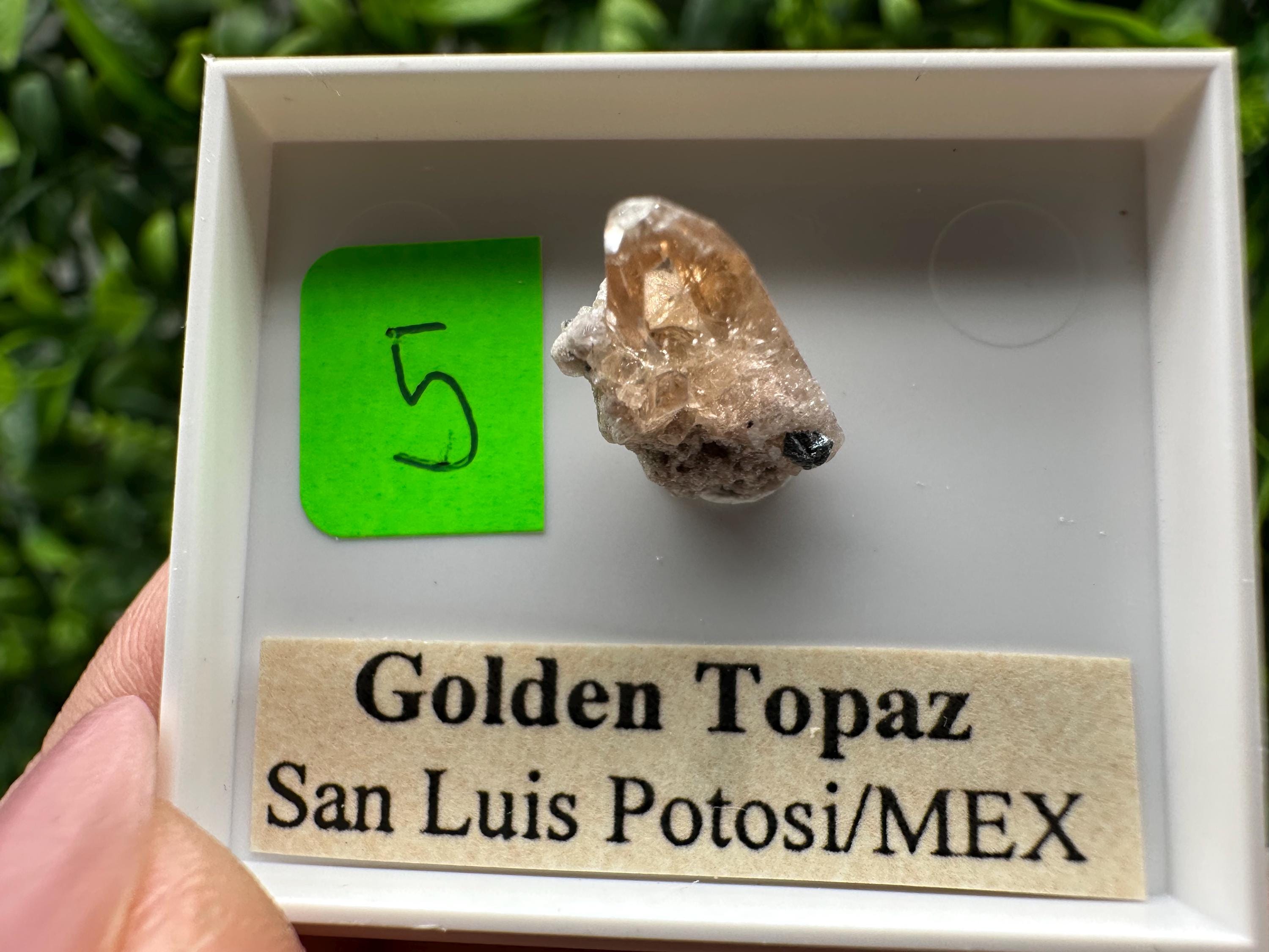 Golden Topaz Crystal, Mineral Specimen from Mexico
