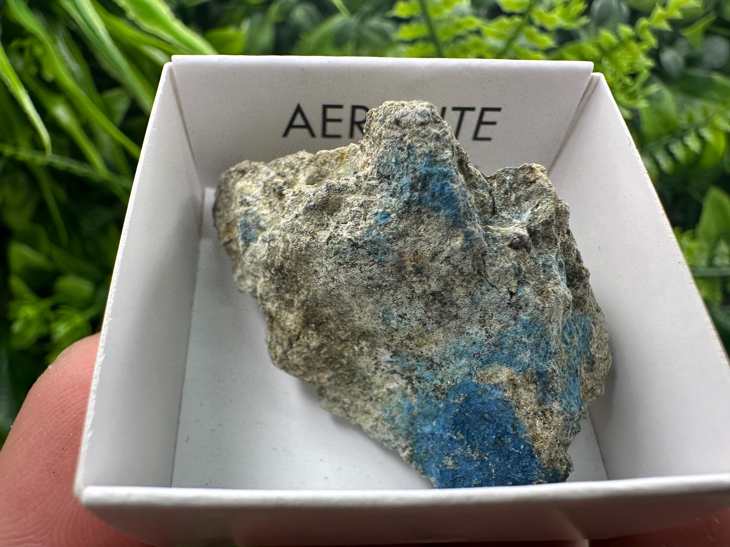 Rare Raw Aerinite Mineral Specimen: Lleida, Spain Crystal