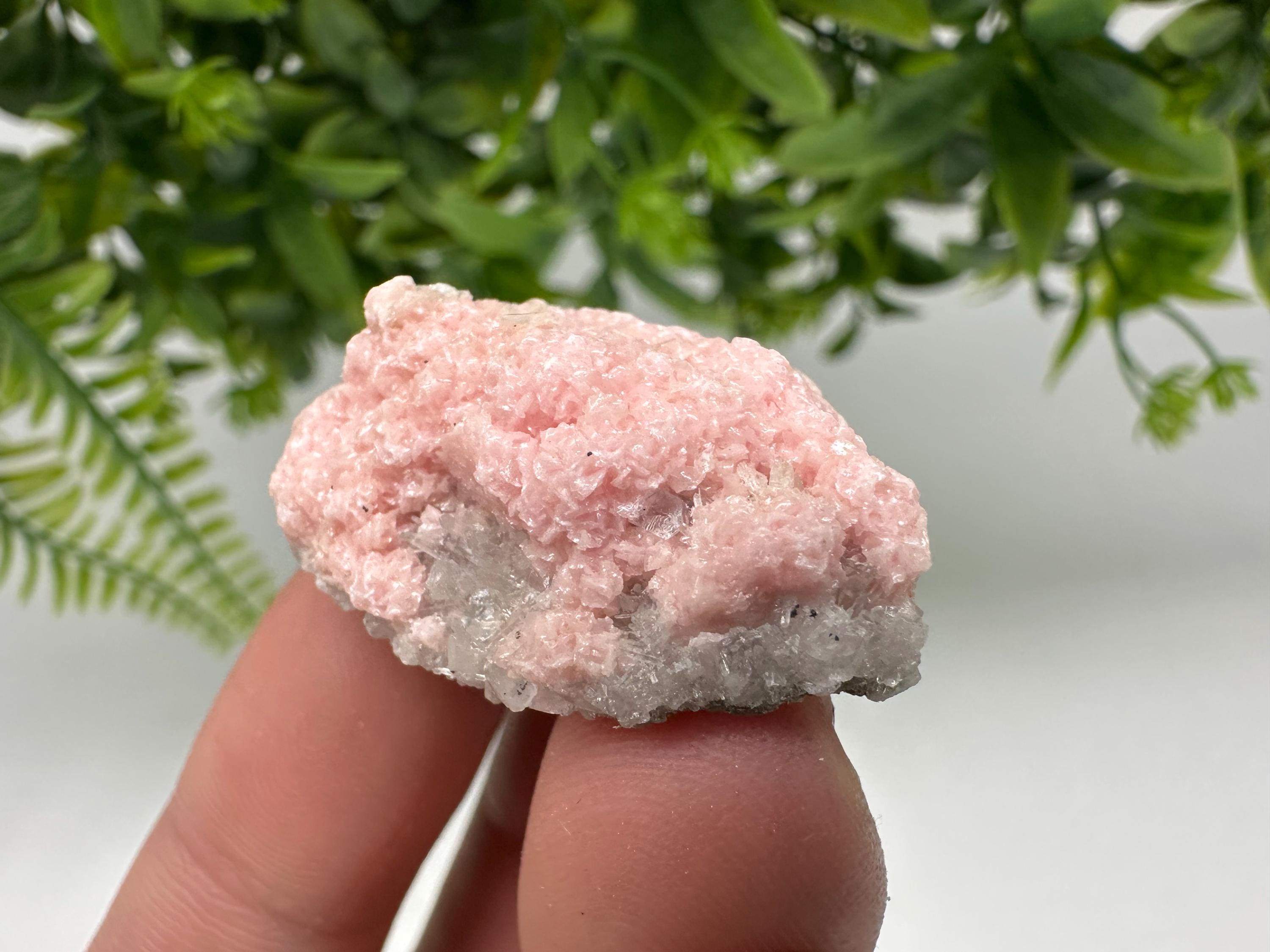 Pink Rhodochrosite Crystal: Starnica Mine, Bulgaria, Home Decor