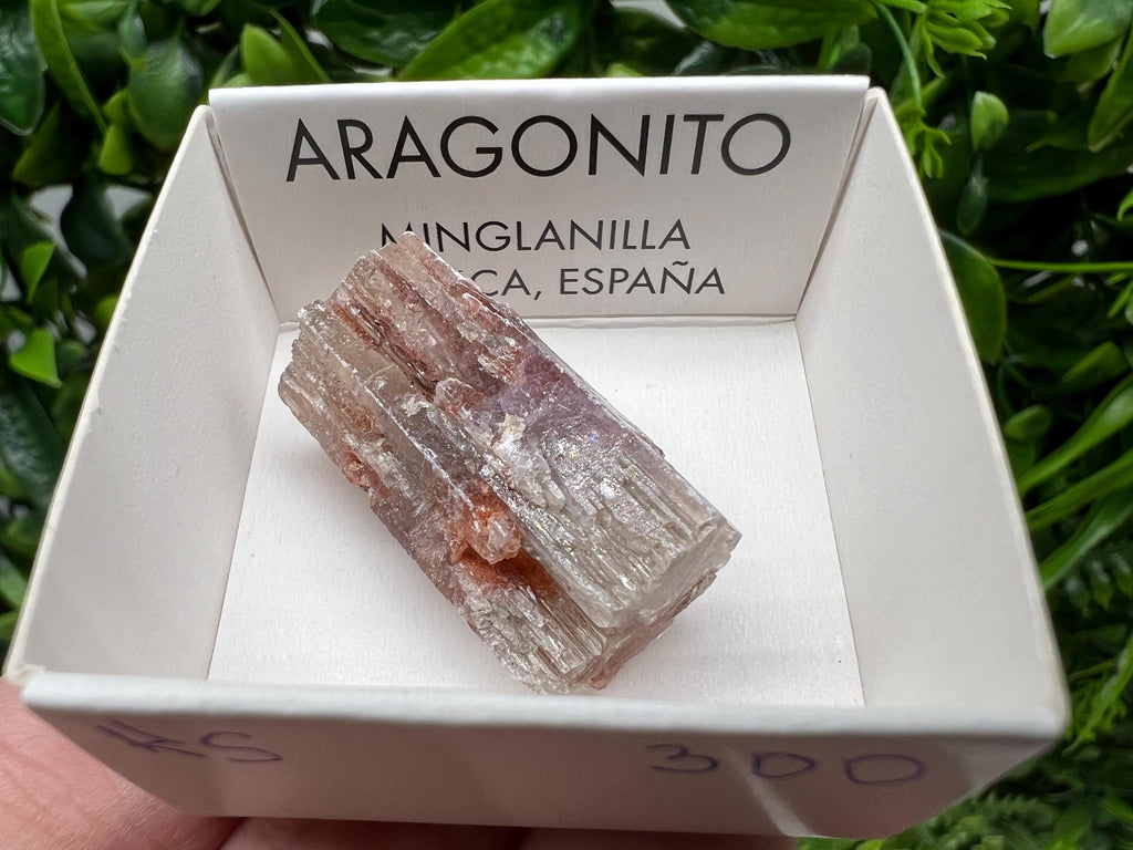 Amazing Aragonite from Spain,Aragonite crystal,cluster,natural,mineral,specimen,Purple Aragonite,Spanish Aragonite,Mineralcollection