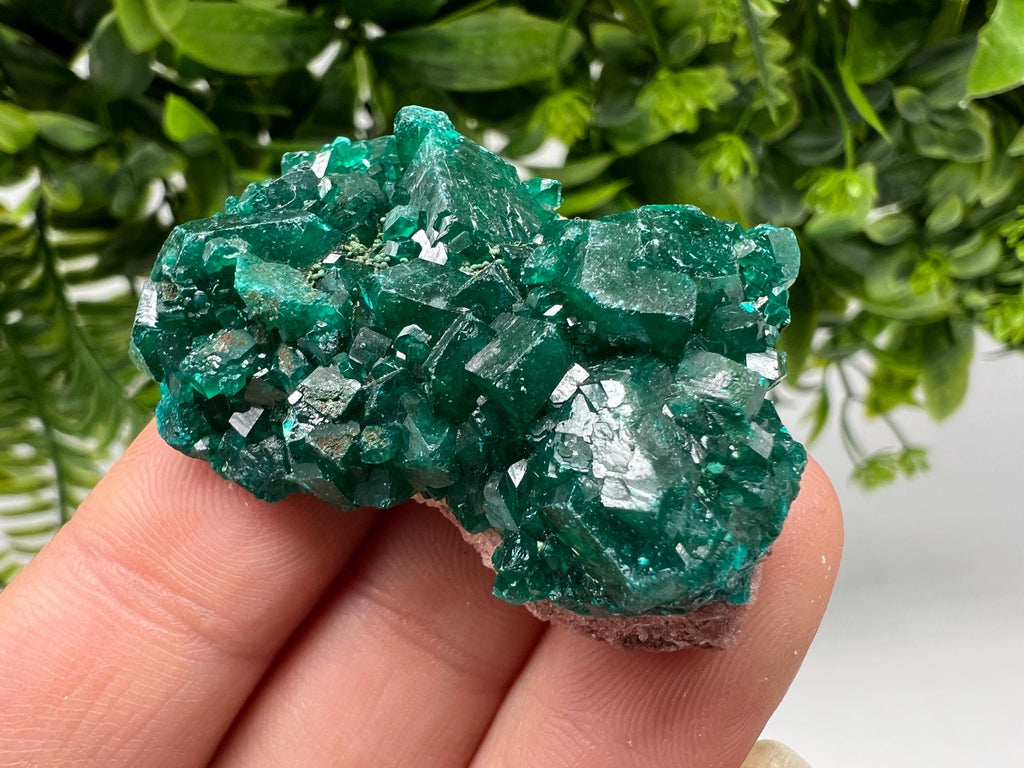 Stunning Green Dioptase from Sanda Hills,Mindouli,Pool Department,Mindouli District,Congo,green Dioptase,Dioptas Crystal,Dioptase collecting