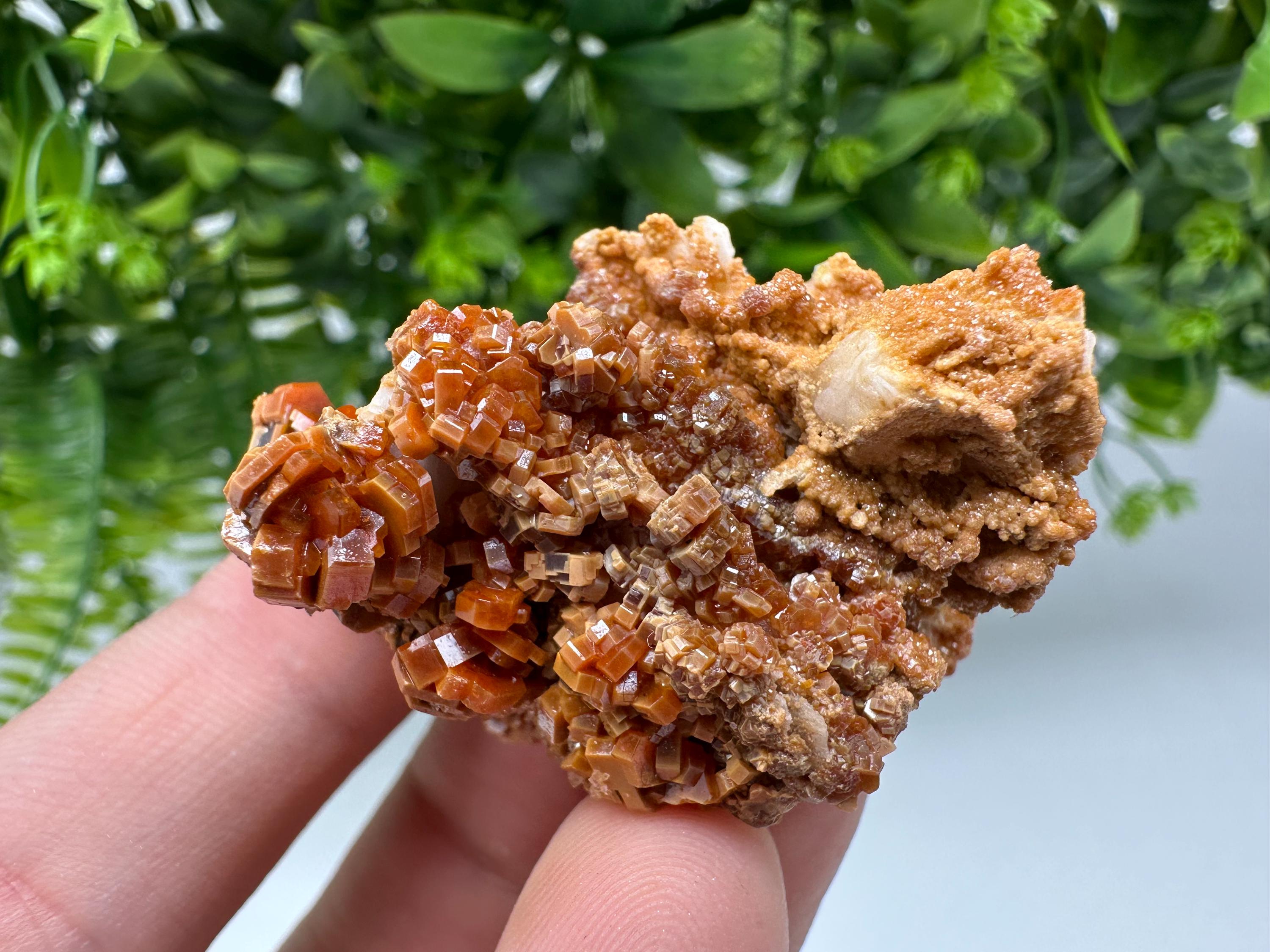Red Vanadinite on Barite from Marocco,crystal minerals Speciment cluster Vanadinite crystal Vanadinite Geology Vanadinite cluster minerals