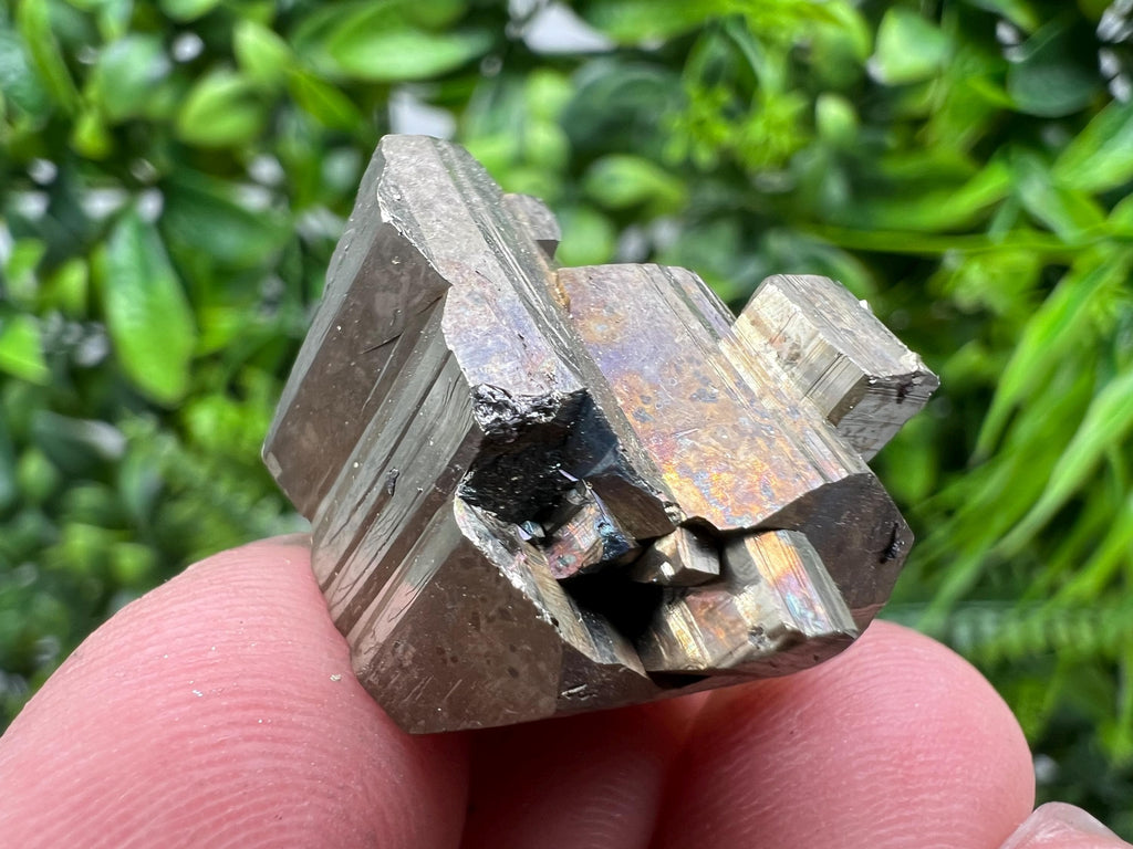 Mini Rainbow Pyrite Cluster: Borieva Mine, Bulgaria