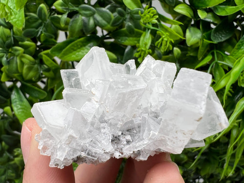 Barite Marcasite Cluster on Chalcedony, Androvo Mine Bulgaria