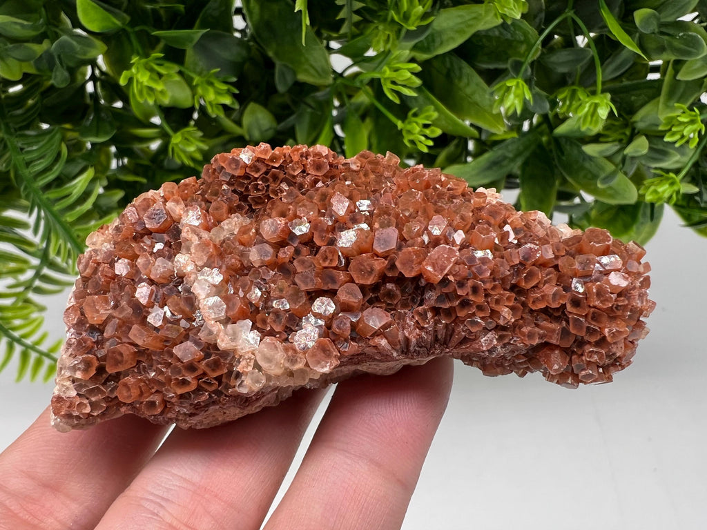 Large Aragonite Sputnik Cluster, Raw Moroccan Crystal Decor