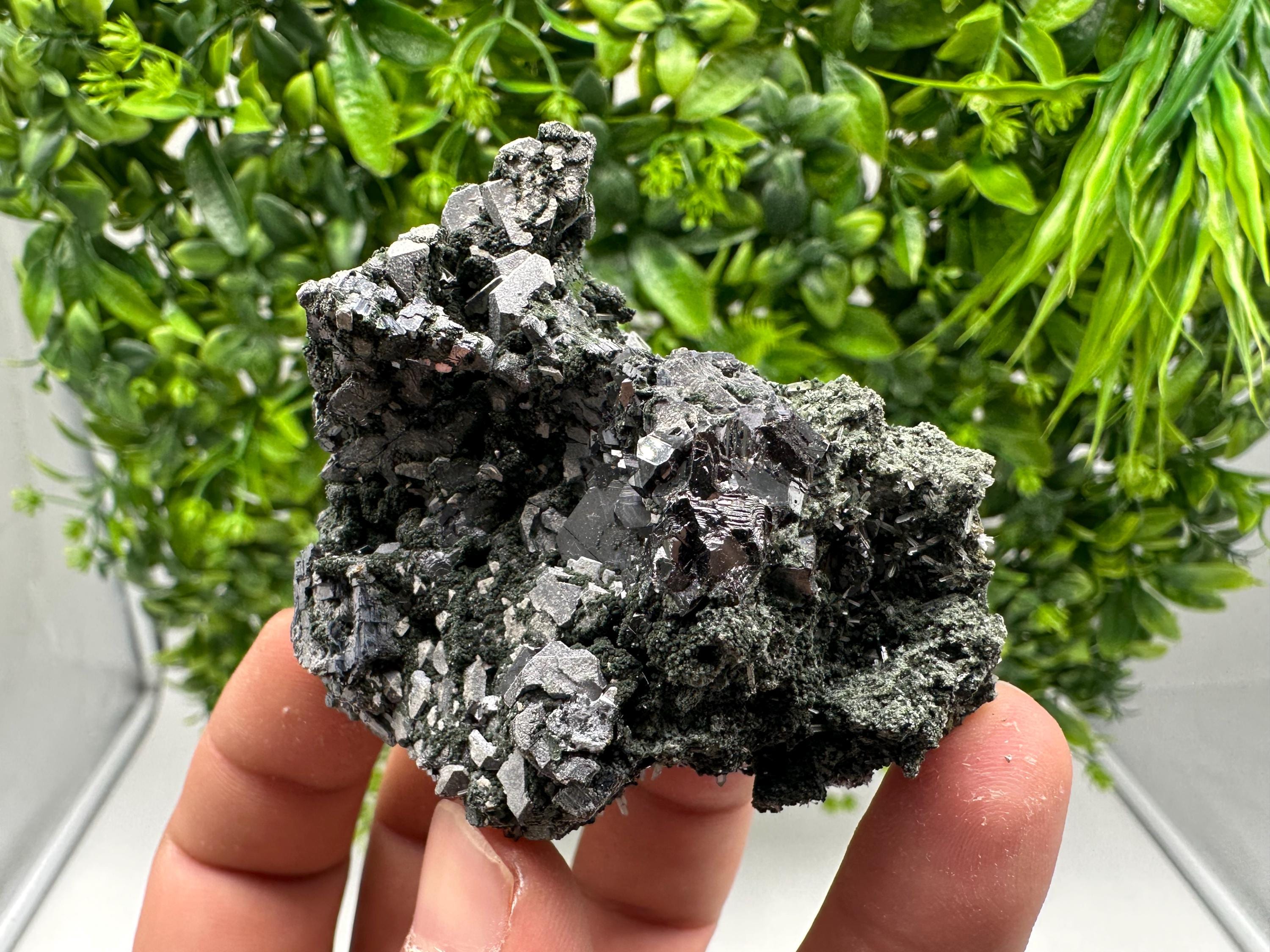 Quartz, Chlorite, Galena & Sphalerite Mineral Specimen: Borieva Mine